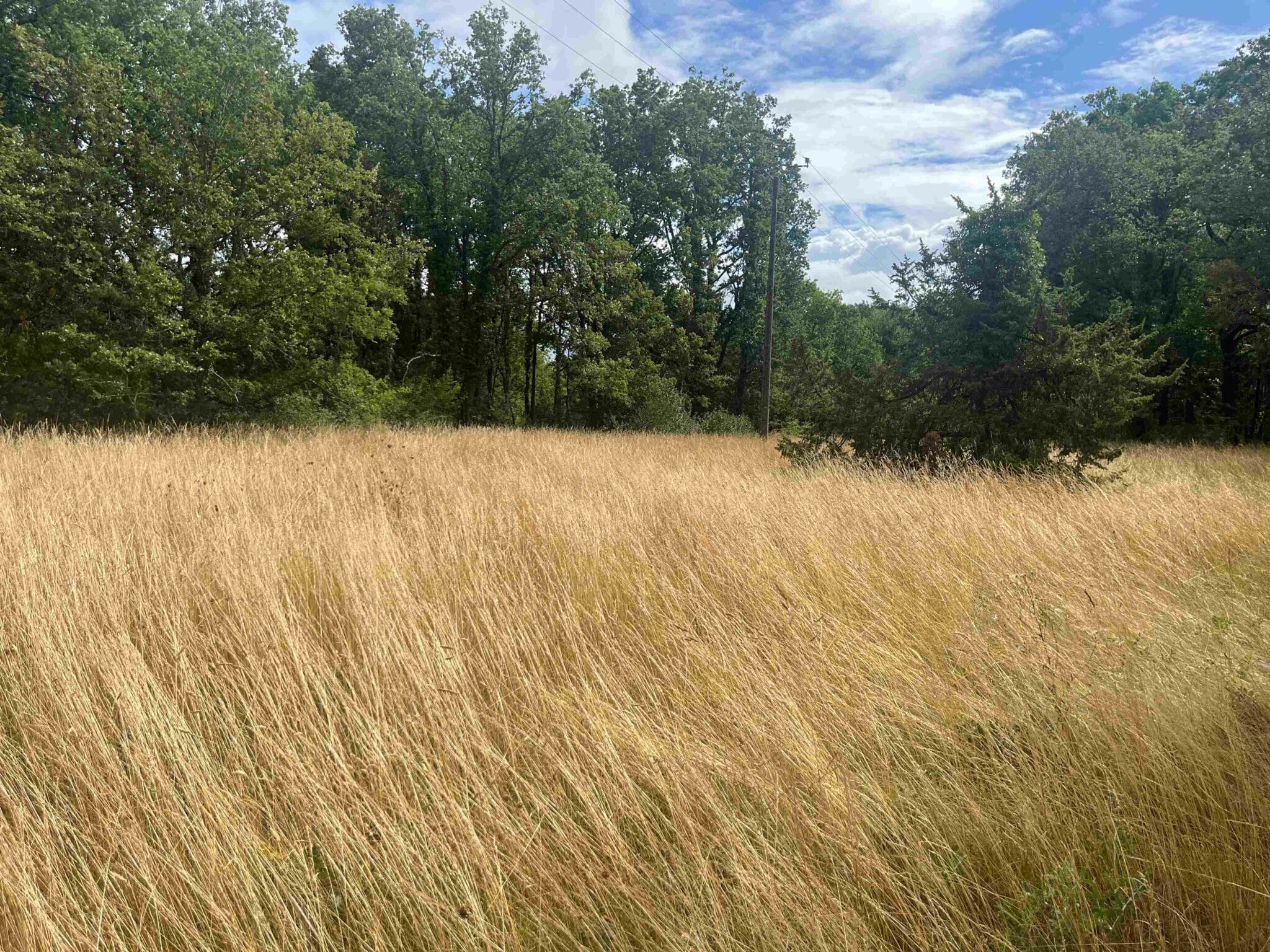 Terrain de 2 424m² à vendre à Souillac (46)