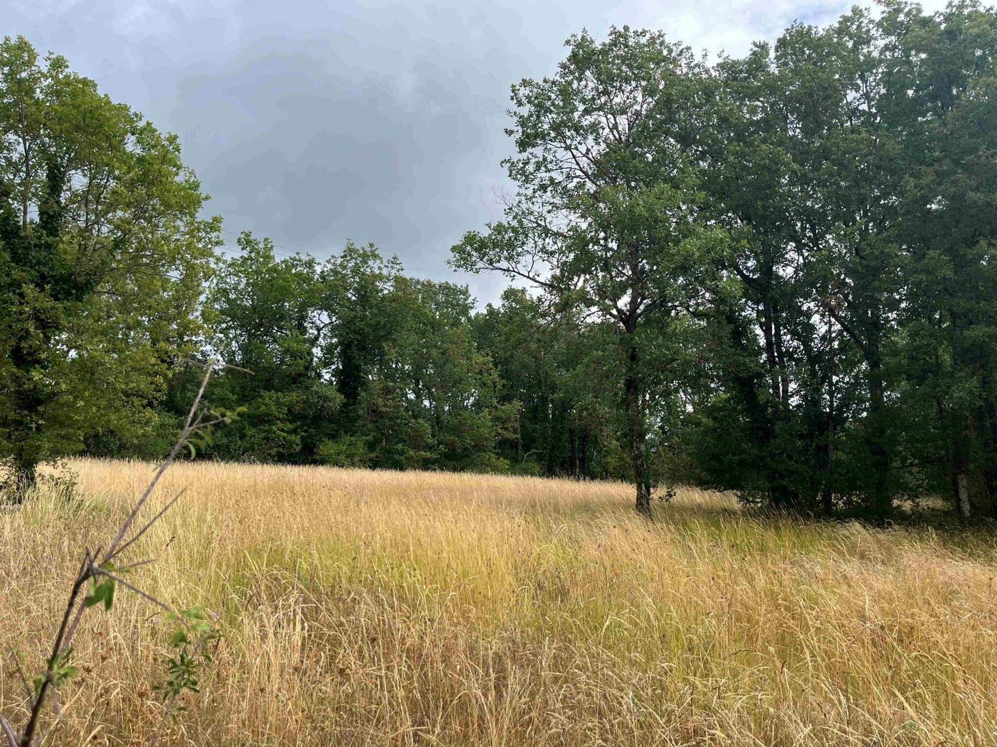 Terrain de 2 424m² à vendre à Souillac (46)