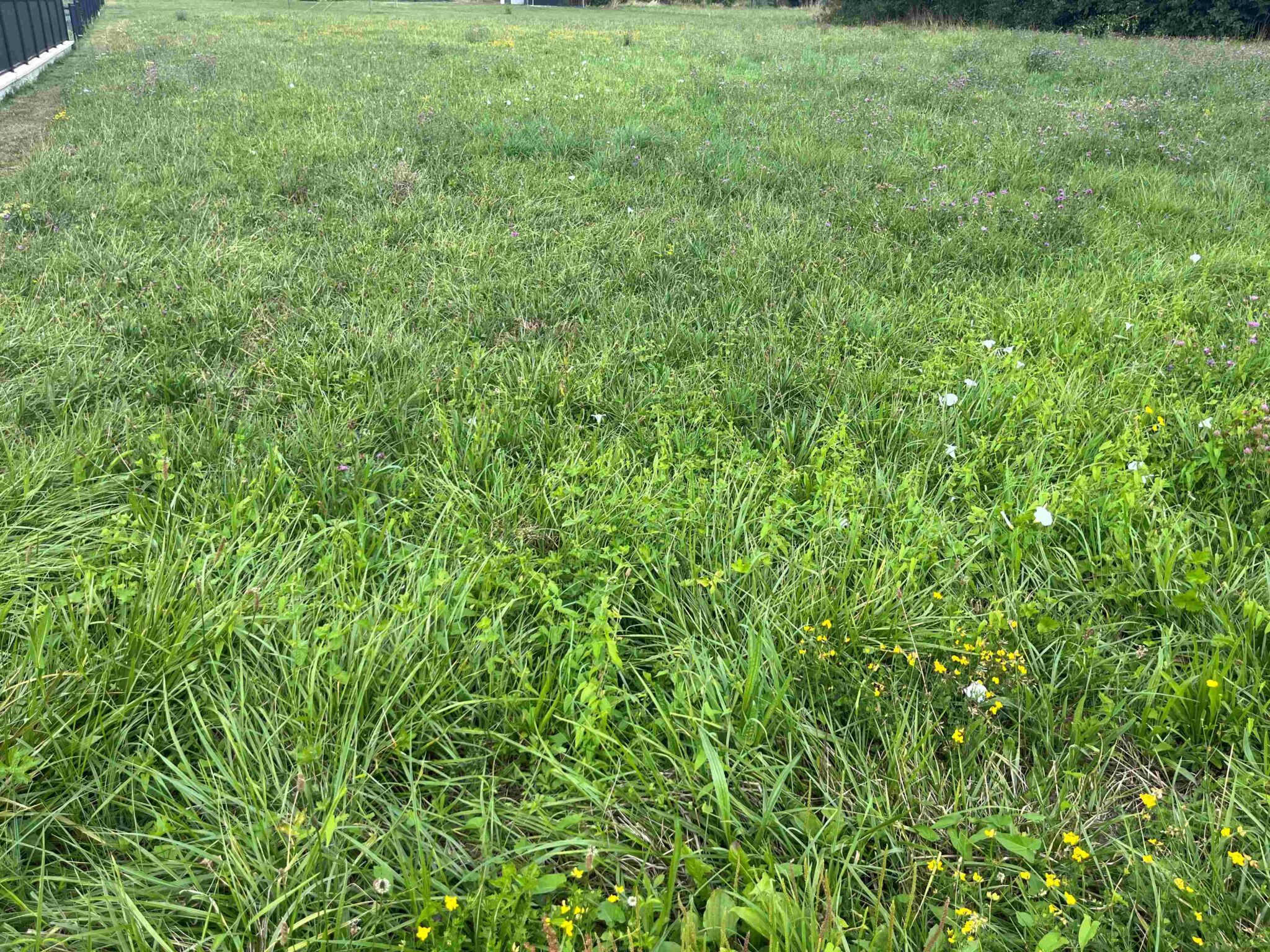 Terrain de 1 860m² à vendre à Lanzac (46)