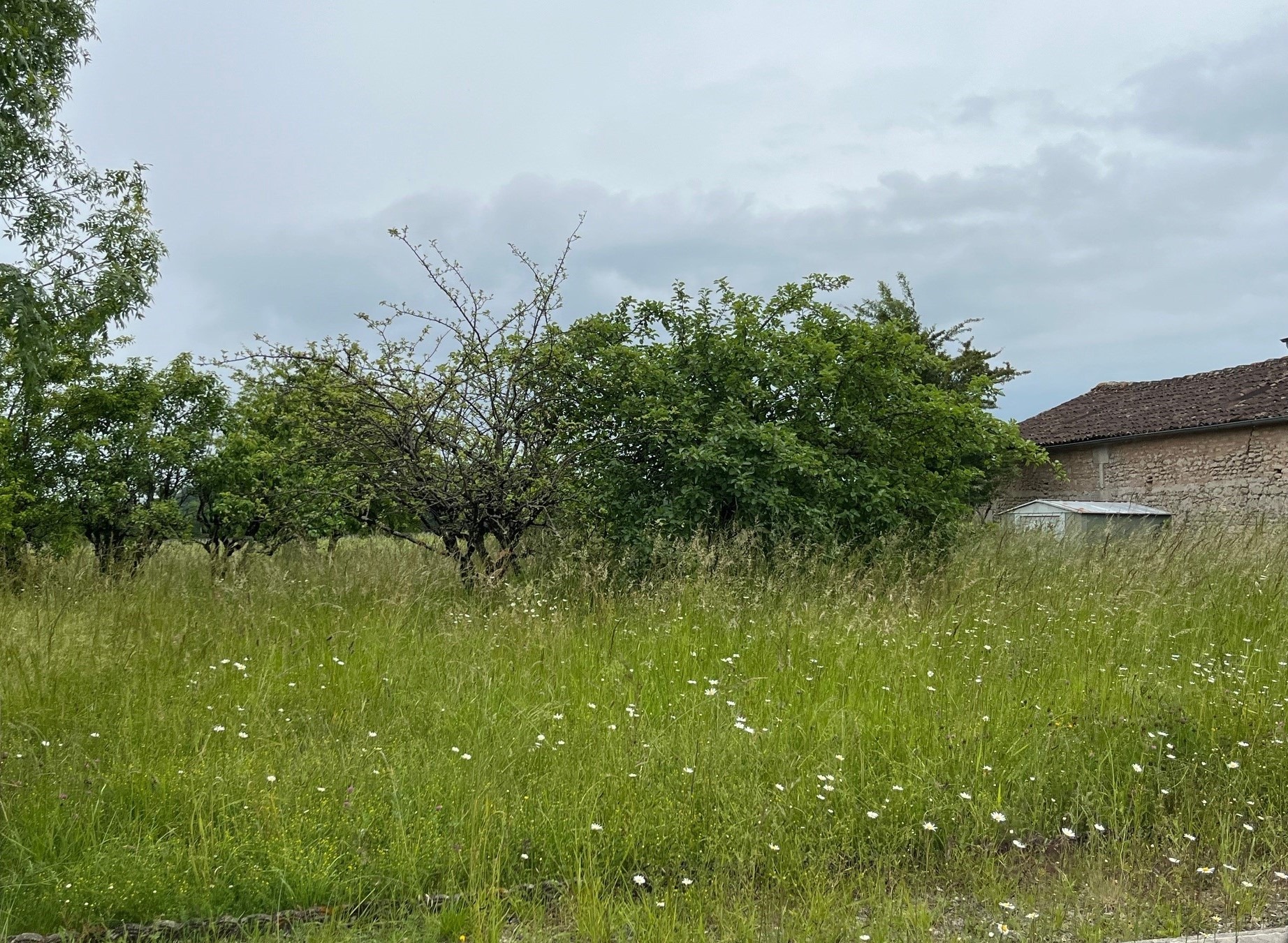 Terrain de 834m² à vendre à Boutiers-Saint-Trojan (16)