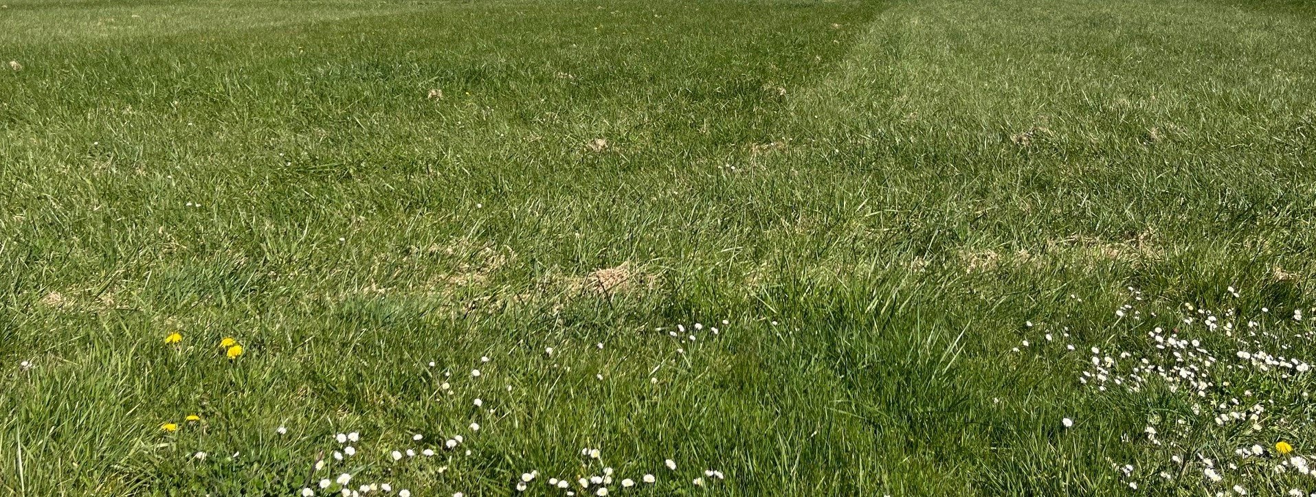 Terrain de 1 021m² à vendre à Authon-Ébéon (17)