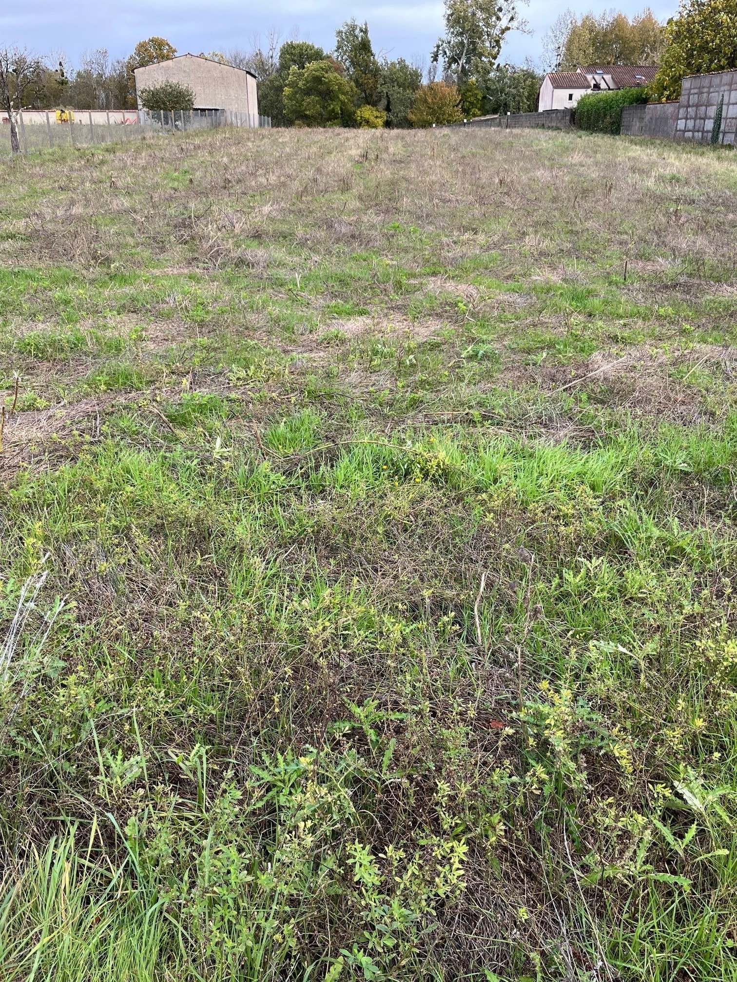 Terrain de 650m² à vendre à Ars (16)