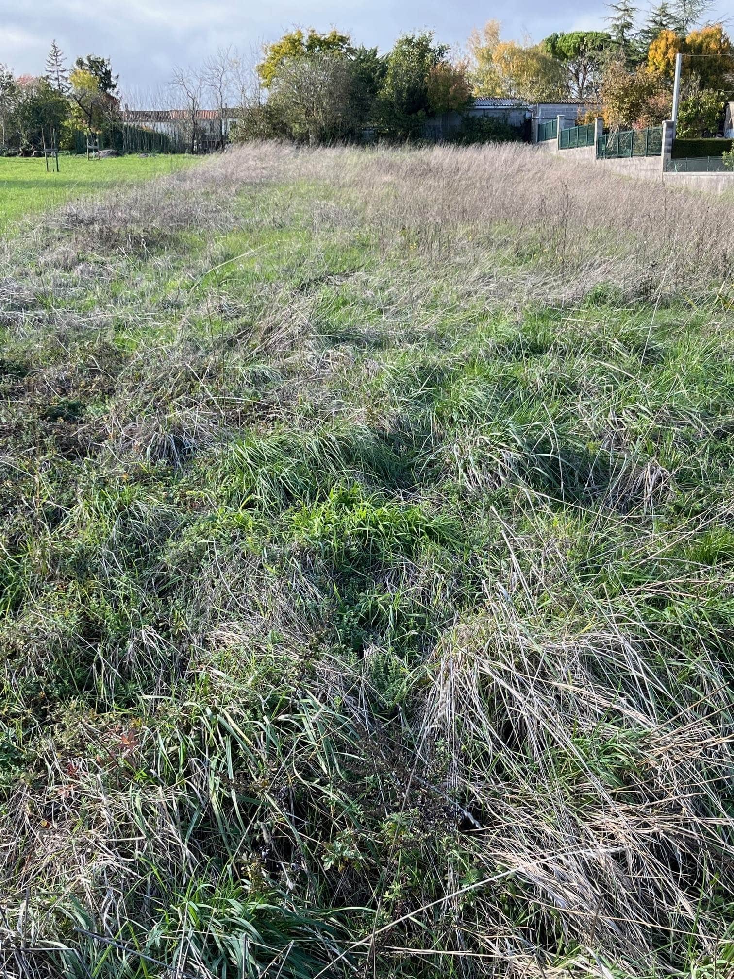 Terrain de 1 434m² à vendre à Genté (16)