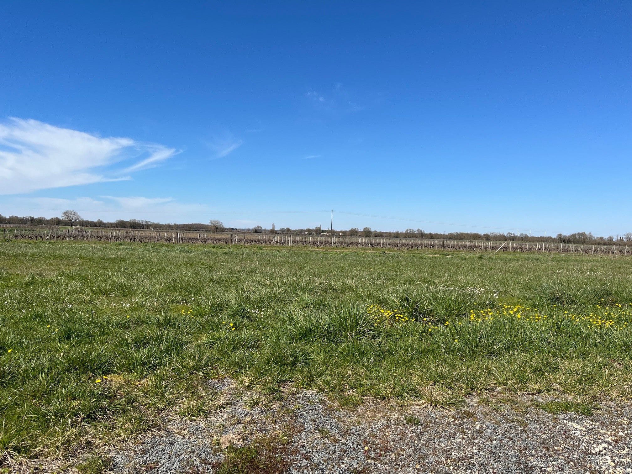 Terrain de 766m² à vendre à Courcerac (17)