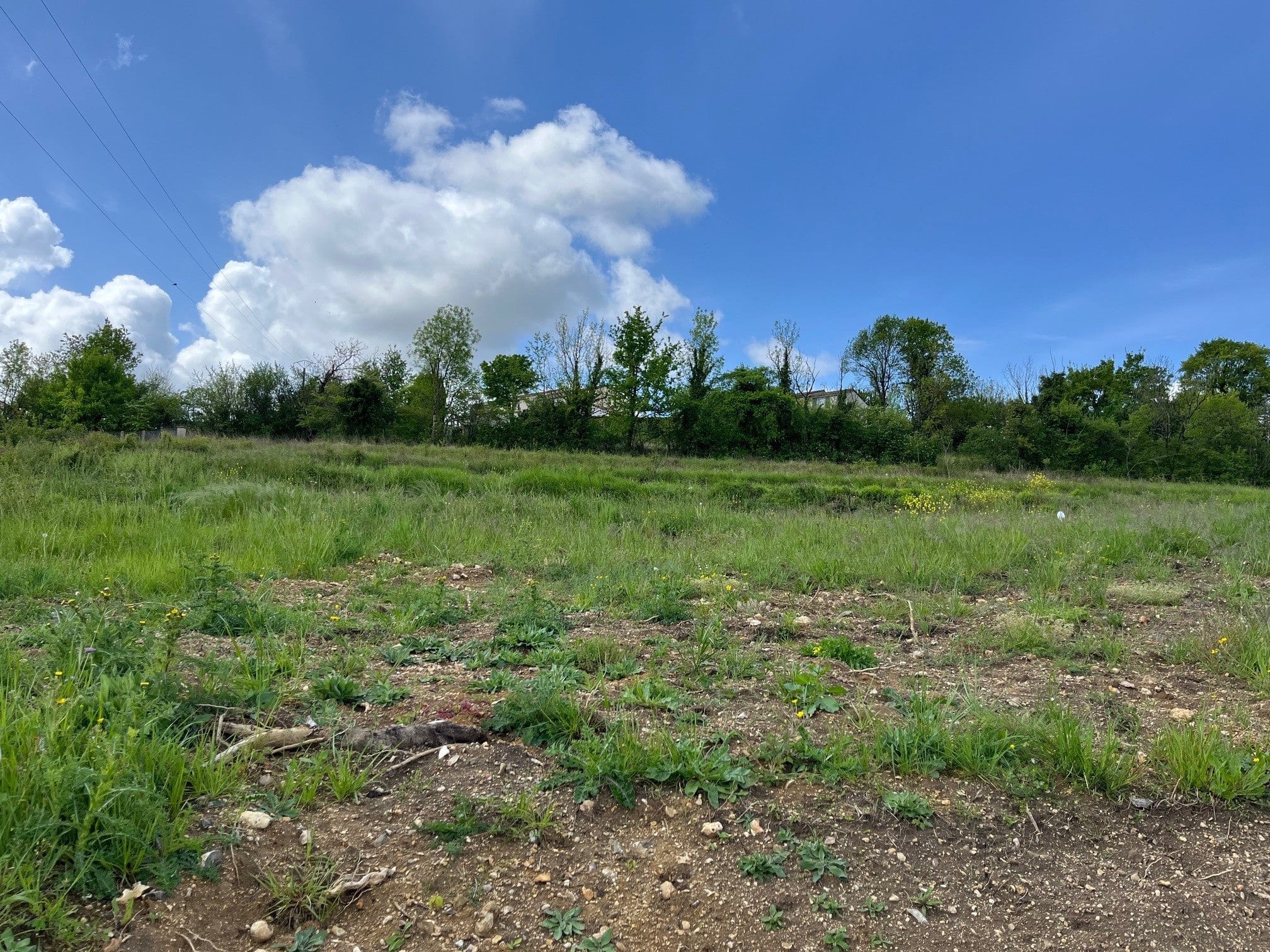 Terrain de 750m² à vendre à Saint-Laurent-de-Cognac (16)