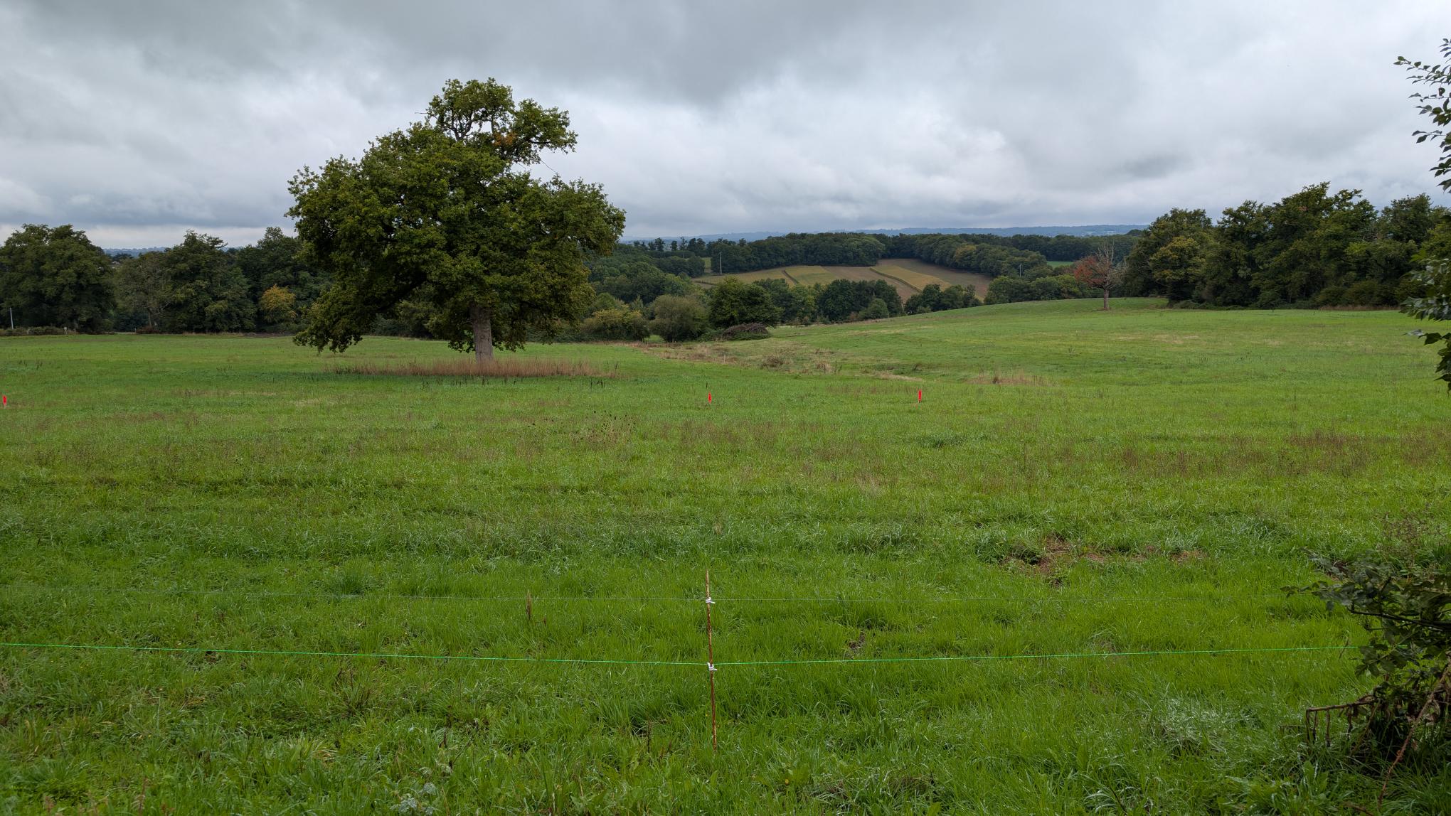 Terrain de 826m² à vendre à Beynac (87)