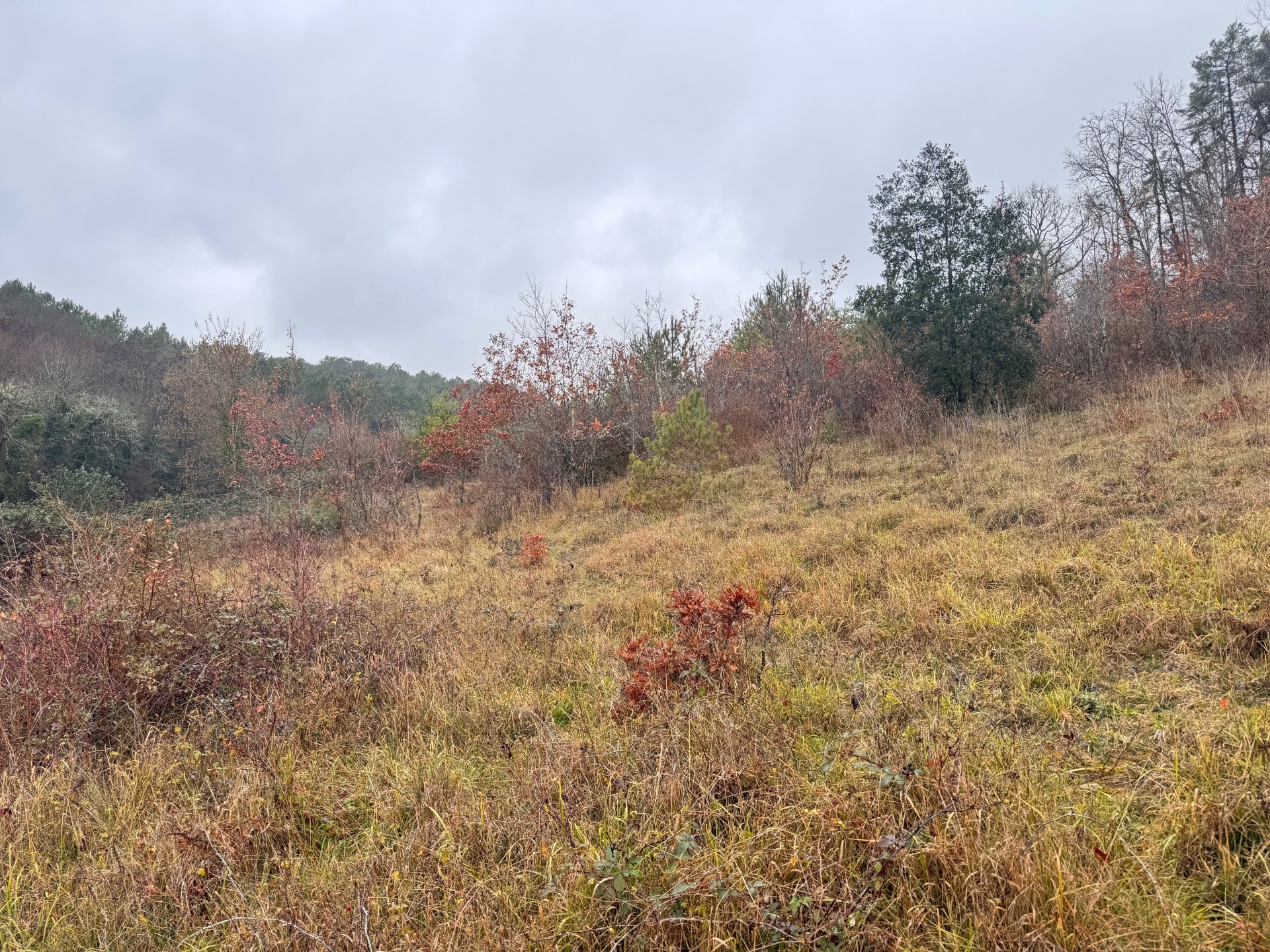 Maison + Terrain de 1 399 m2  à Trélissac