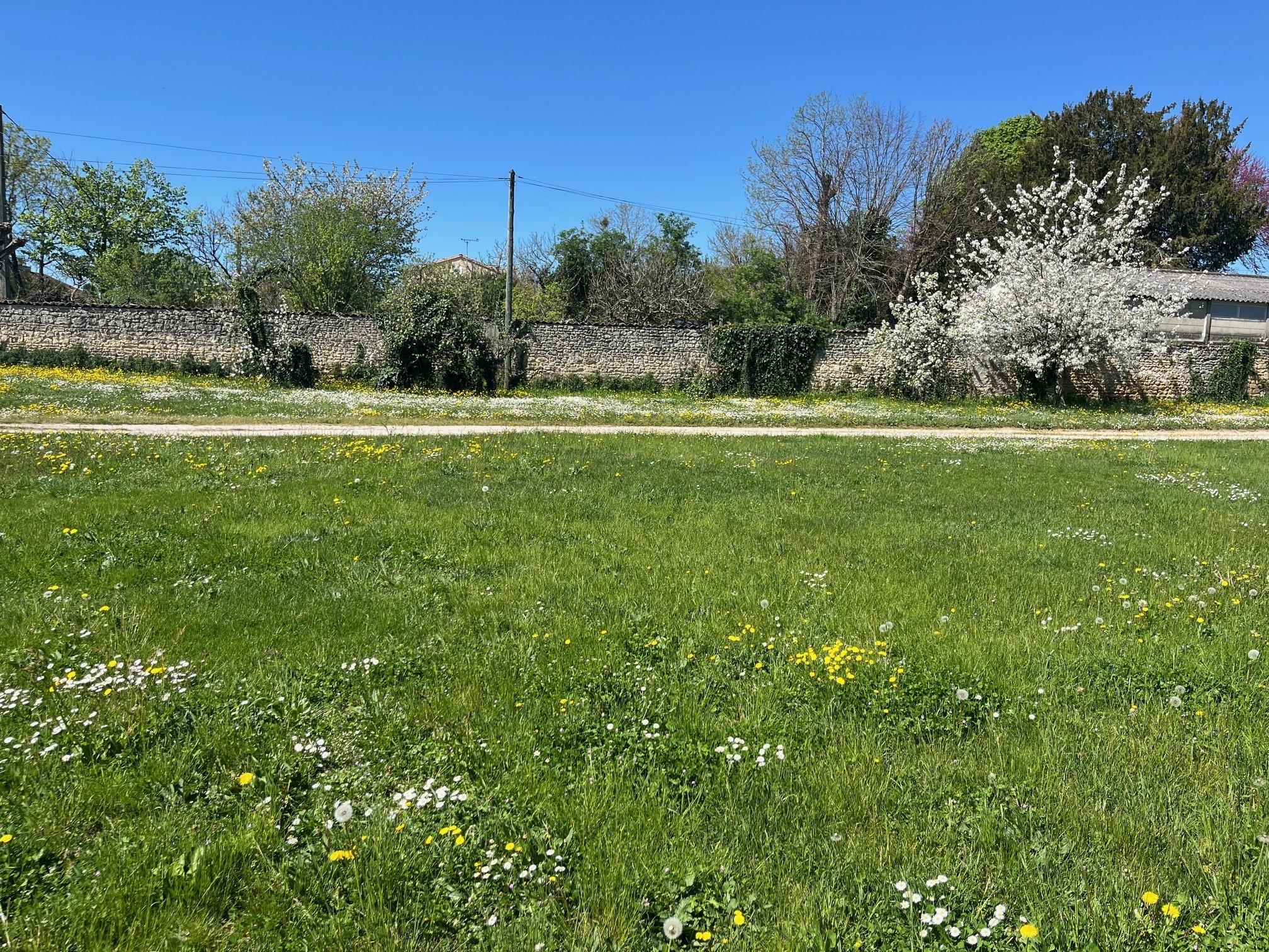 Terrain de 600m² à vendre à Boutiers-Saint-Trojan (16)