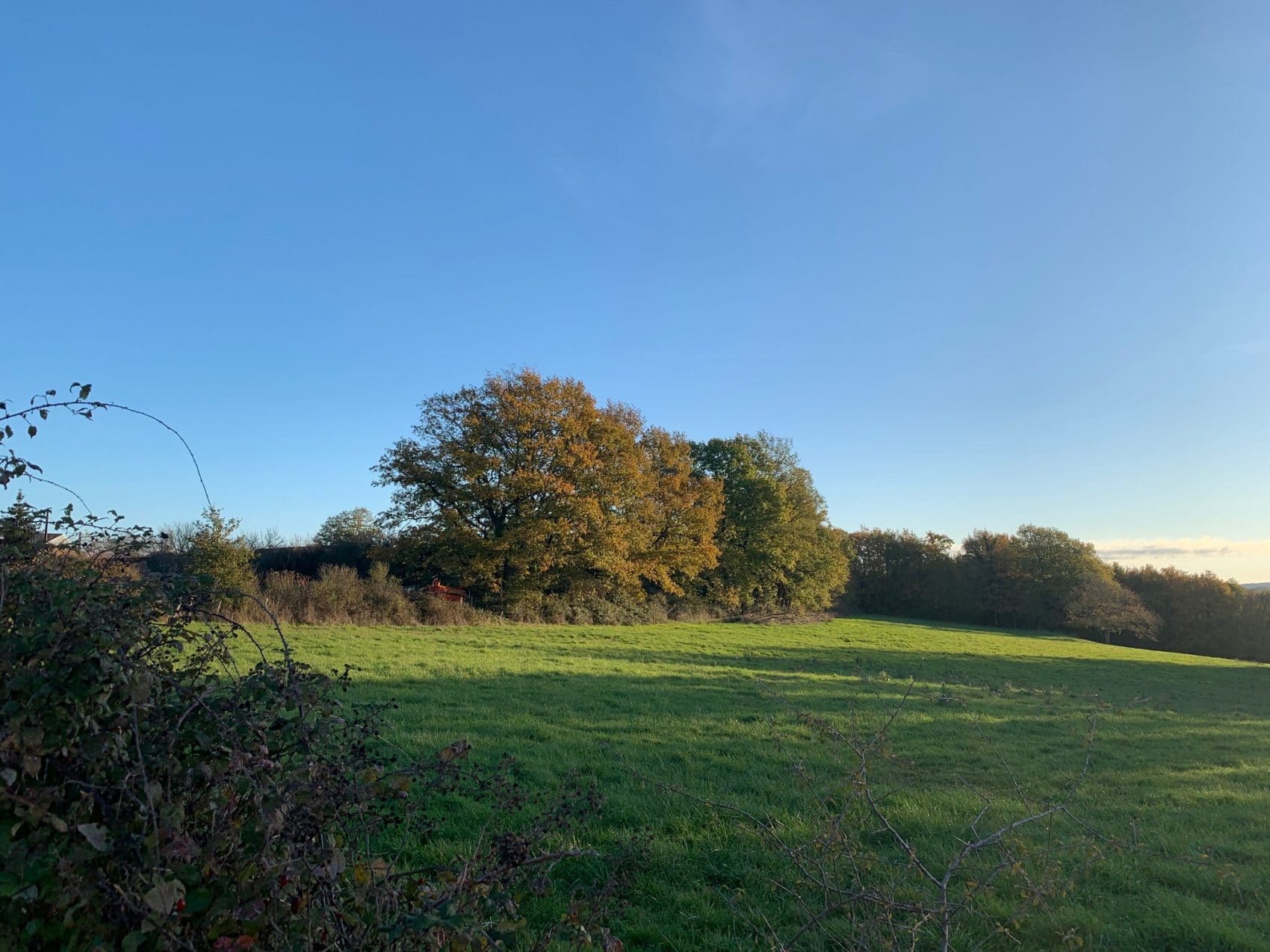 Terrain de 522m² à vendre à Semur-en-Auxois (21)
