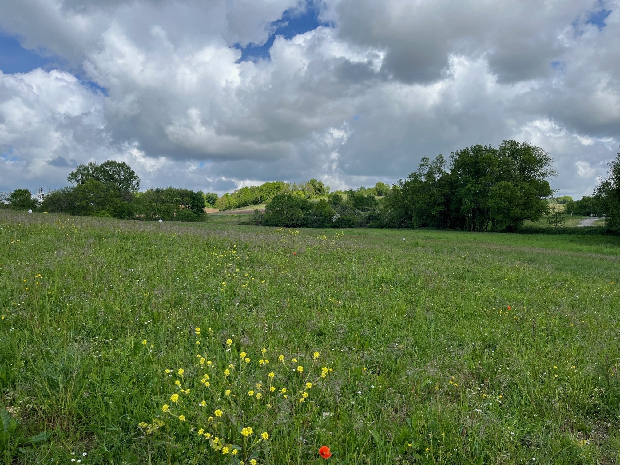 Terrain de 581m² à vendre à Saint-Laurent-de-Cognac (16)