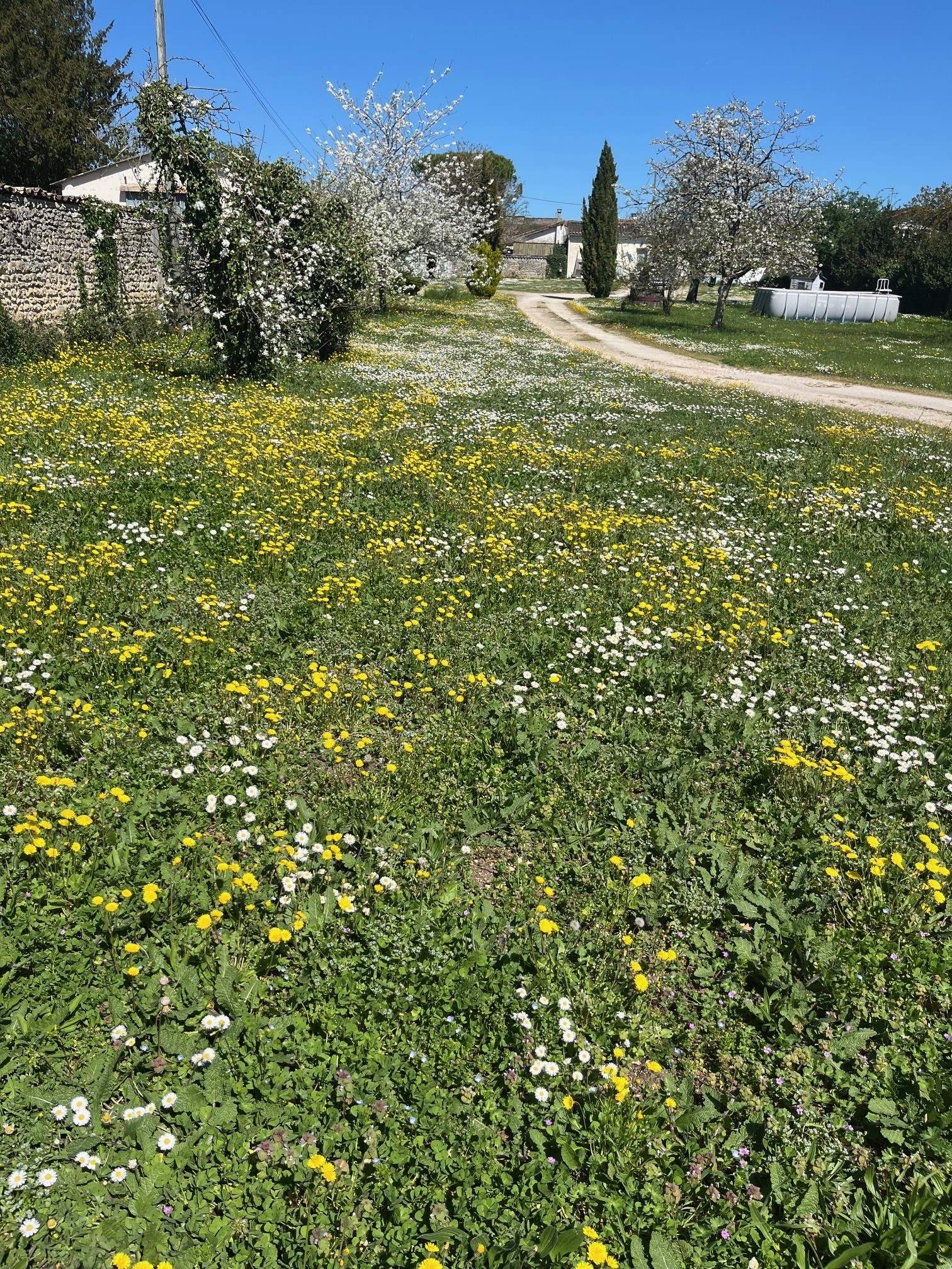 Terrain de 600m² à vendre à Boutiers-Saint-Trojan (16)
