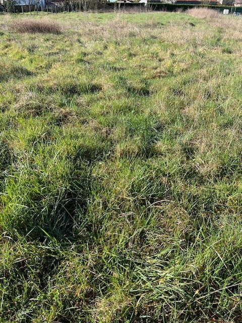 Terrain de 2 232m² à vendre à Macqueville (17)