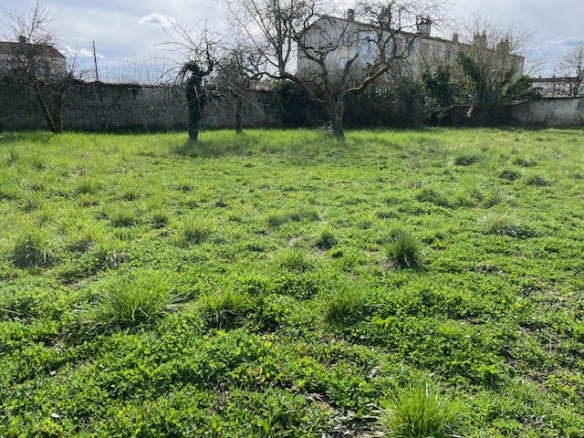 Terrain de 526m² à vendre à Jarnac (16)