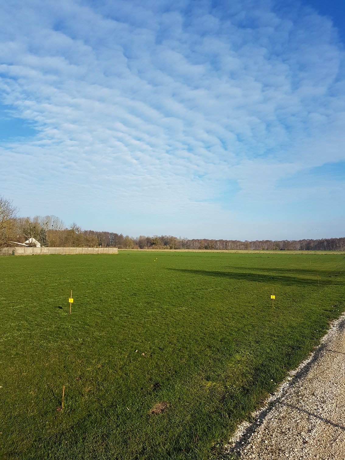 Terrain de 831m² à vendre à Oyes (51)