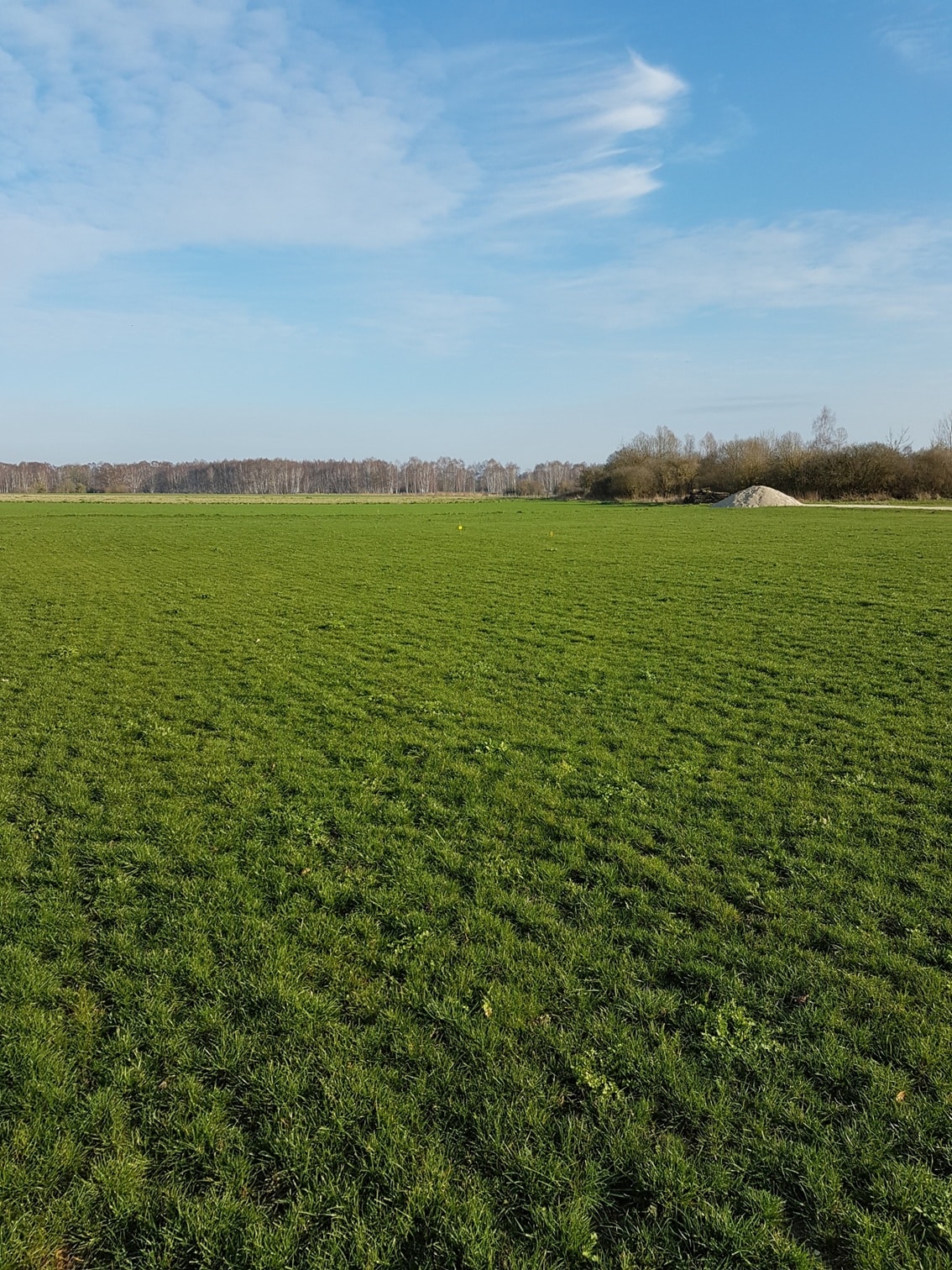 Terrain de 831m² à vendre à Oyes (51)