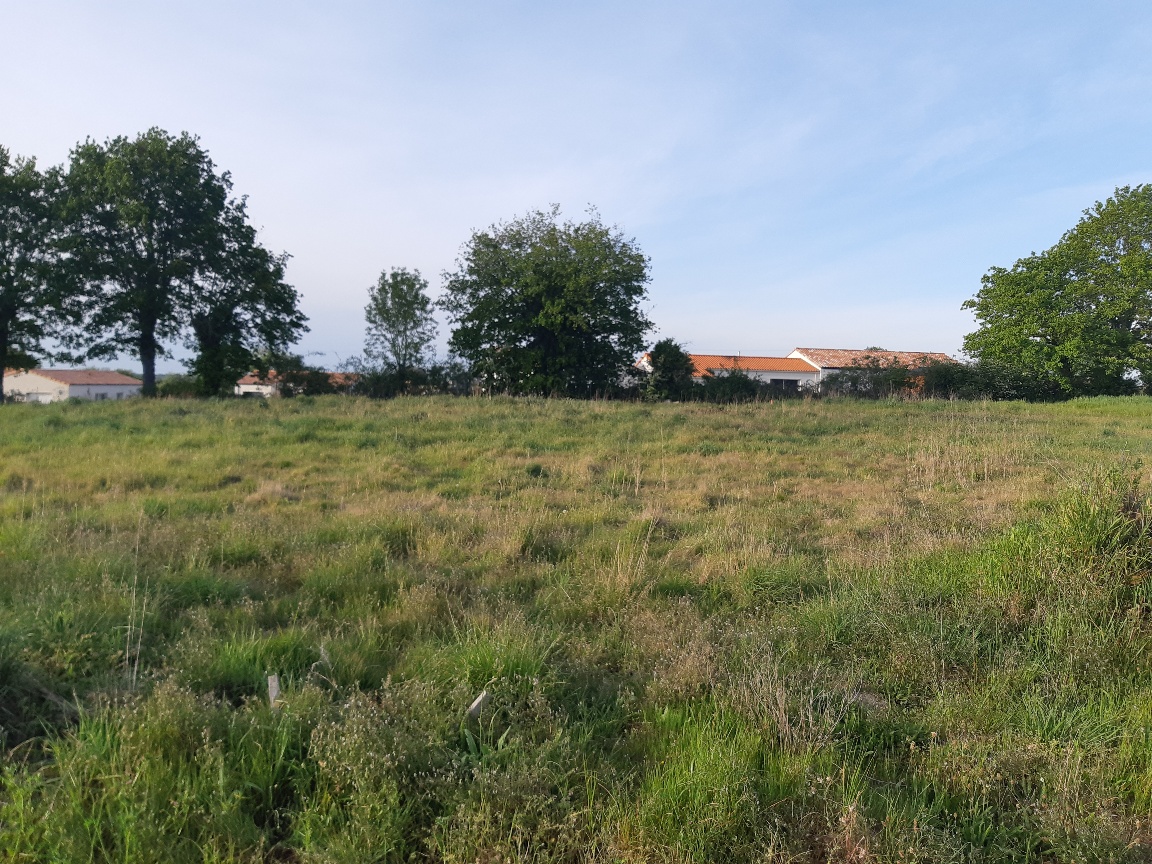 Terrain de 576m² à vendre à Sainte-Pazanne (44)