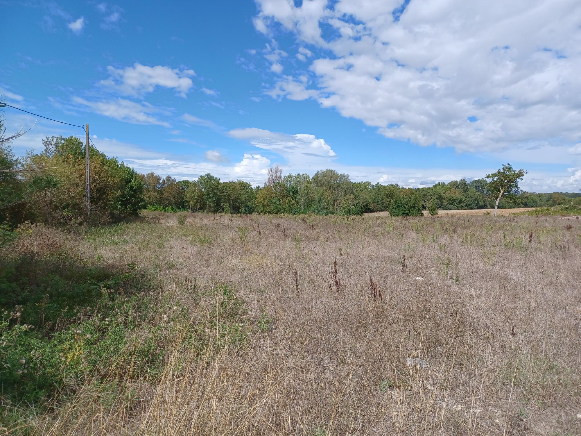 Maison + Terrain de 524 m2  à Loire-les-Marais