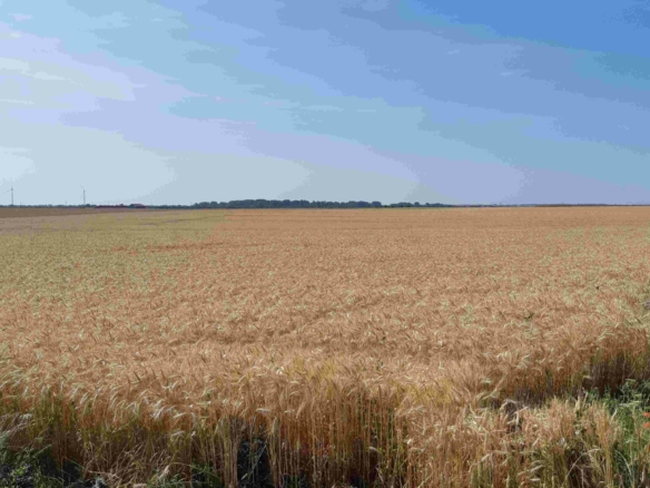 Terrain de 417m² à vendre à Touvois (44)