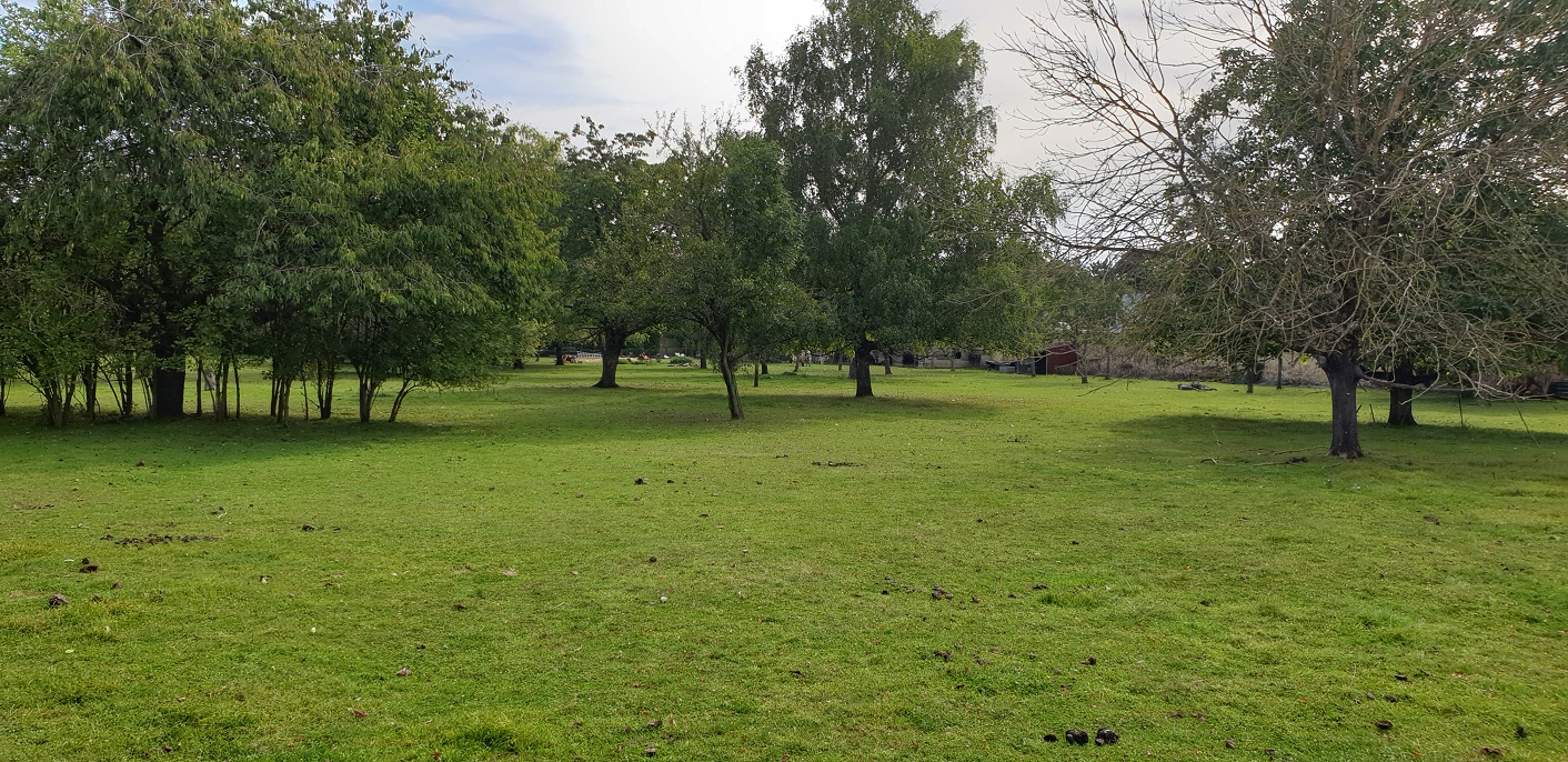 Terrain de 1 179m² à vendre à Sézanne (51)