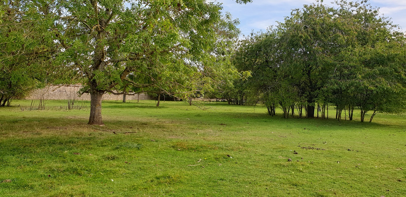 Terrain de 1 179m² à vendre à Sézanne (51)