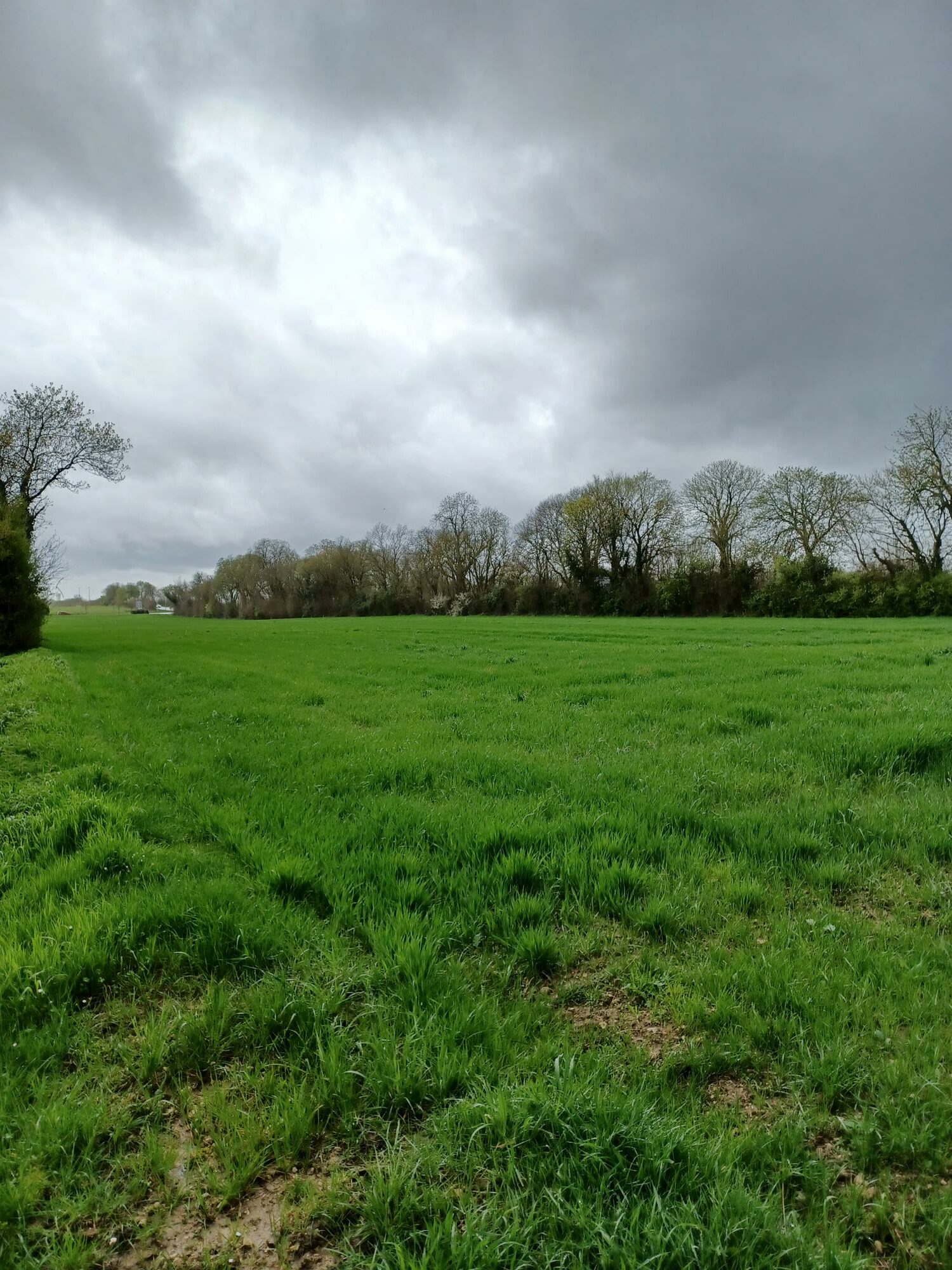 Maison + Terrain de 318 m2  à Surgères