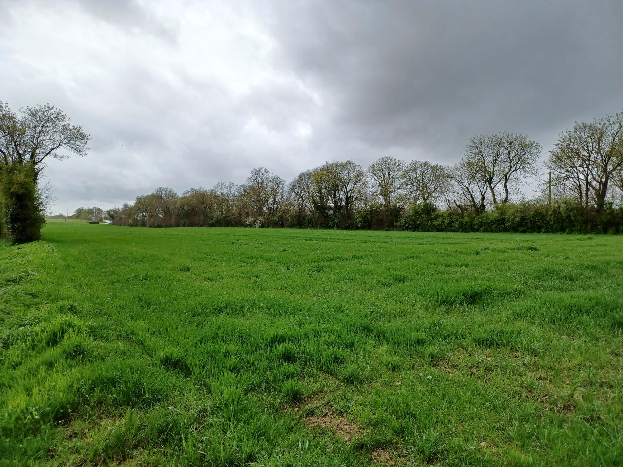 Maison + Terrain de 297 m2  à Surgères
