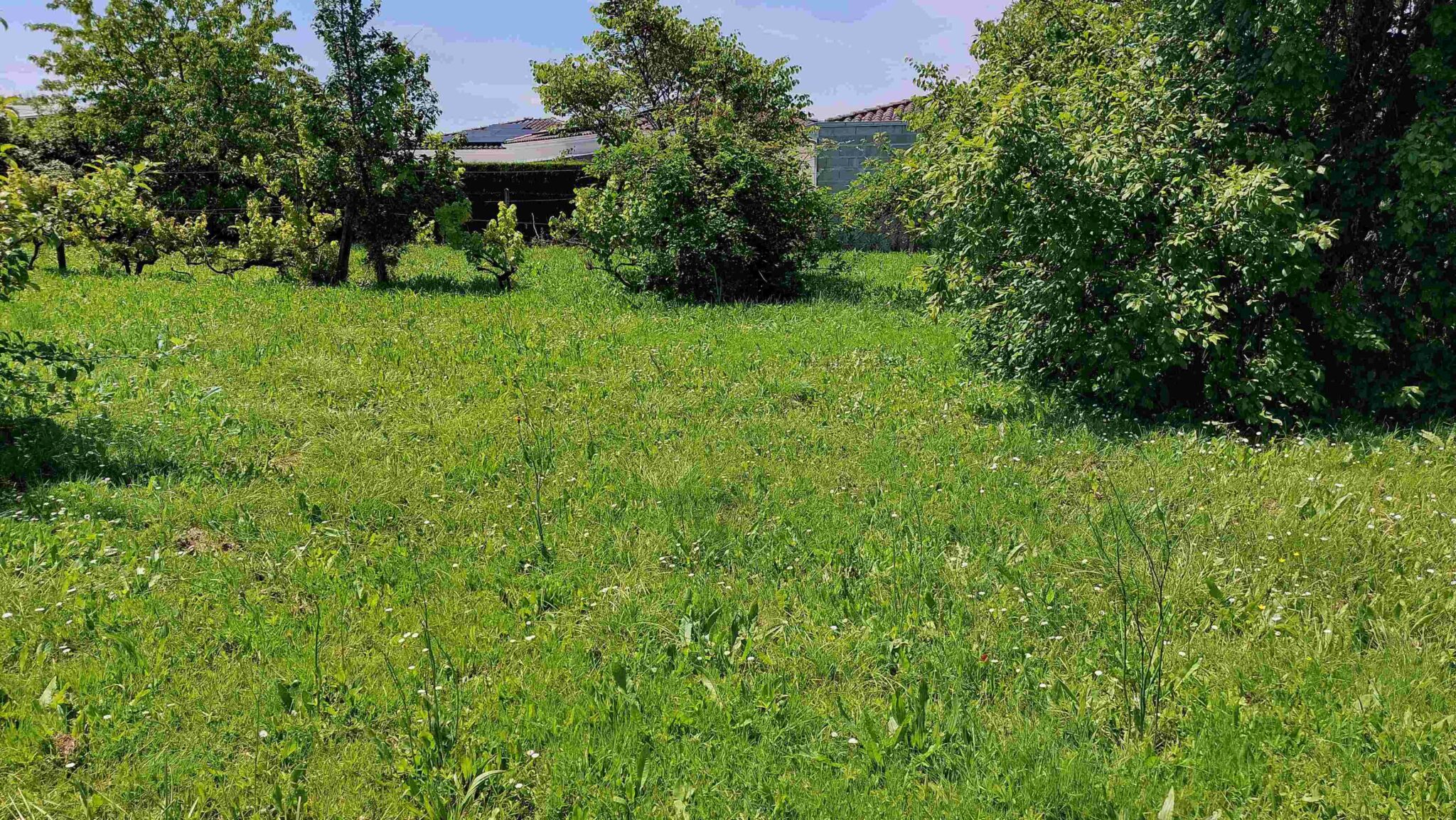 Terrain de 937m² à vendre à Boutiers-Saint-Trojan (16)