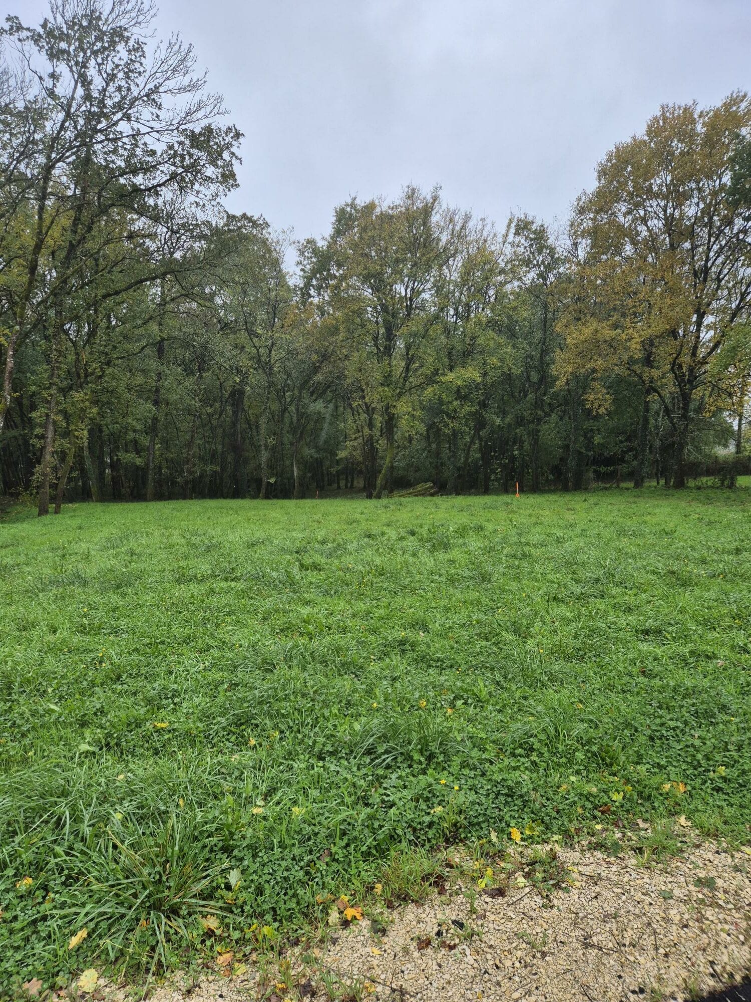 Terrain de 718m² à vendre à Fléac (16)
