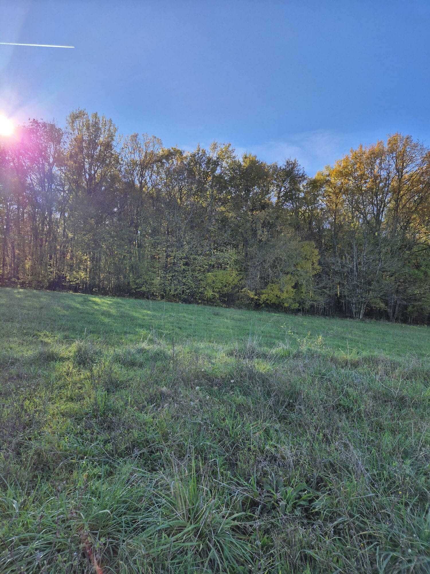Terrain de 929m² à vendre à Grassac (16)
