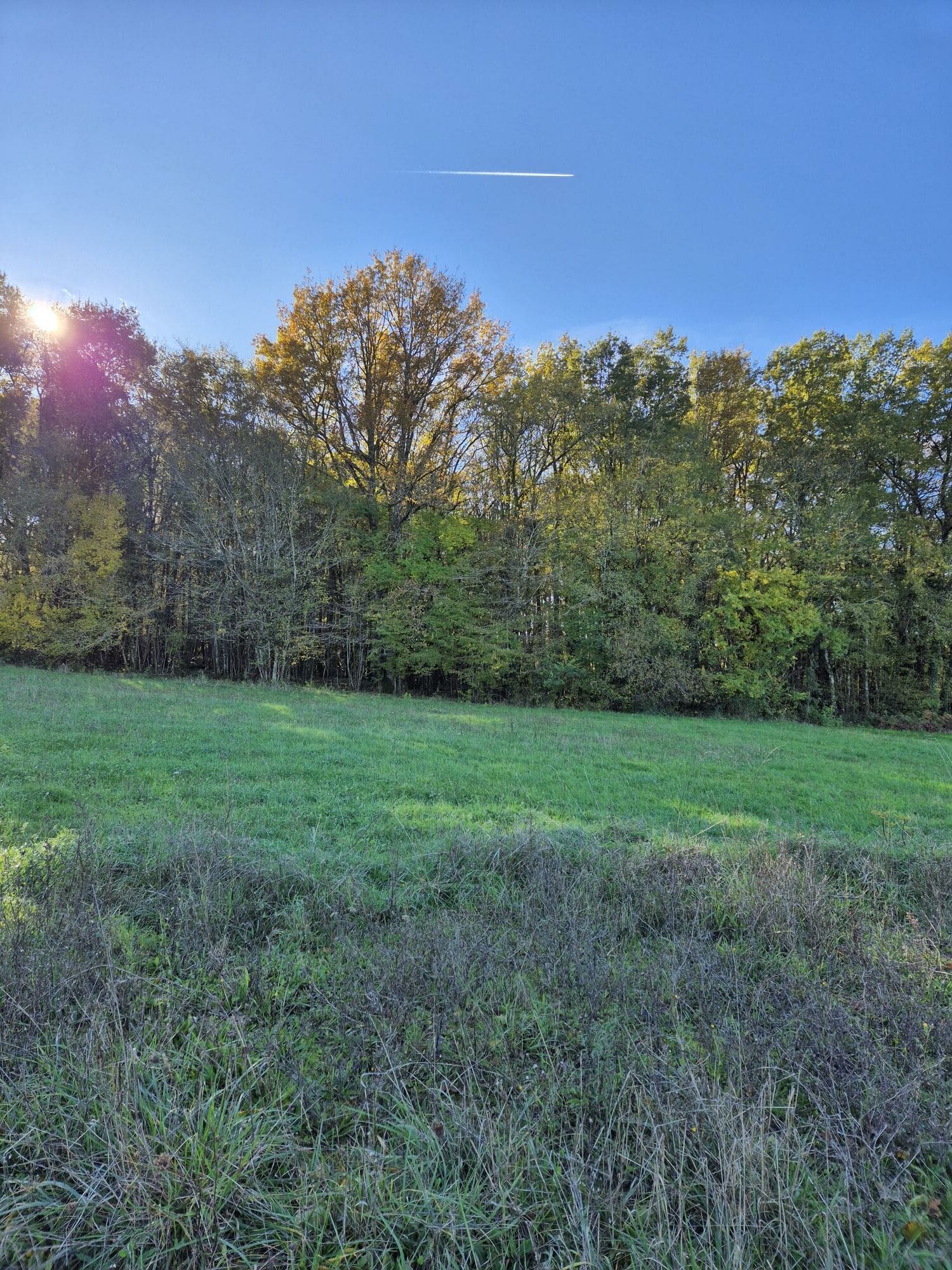 Terrain de 896m² à vendre à Grassac (16)