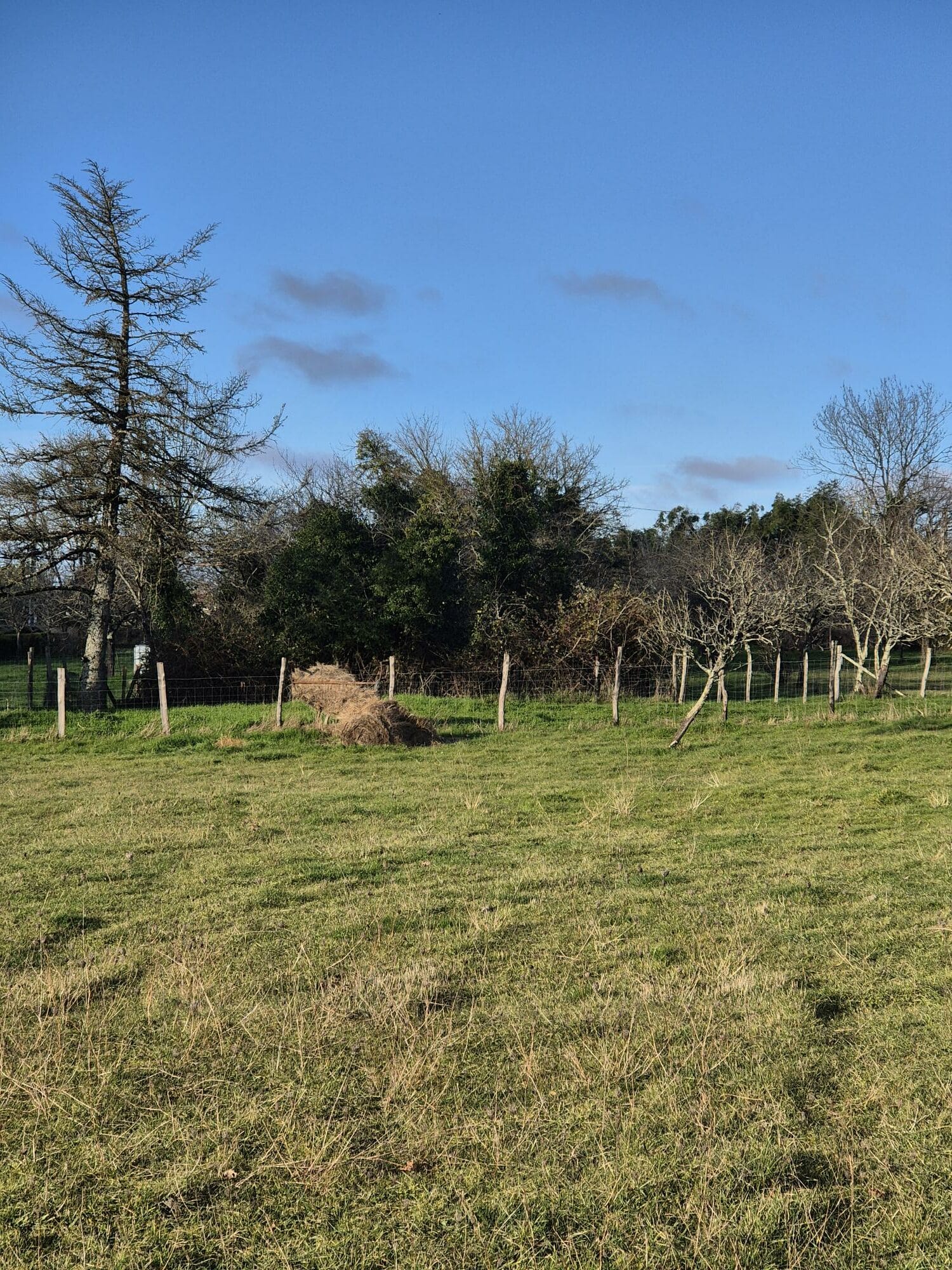 Terrain de 986m² à vendre à Brie (16)