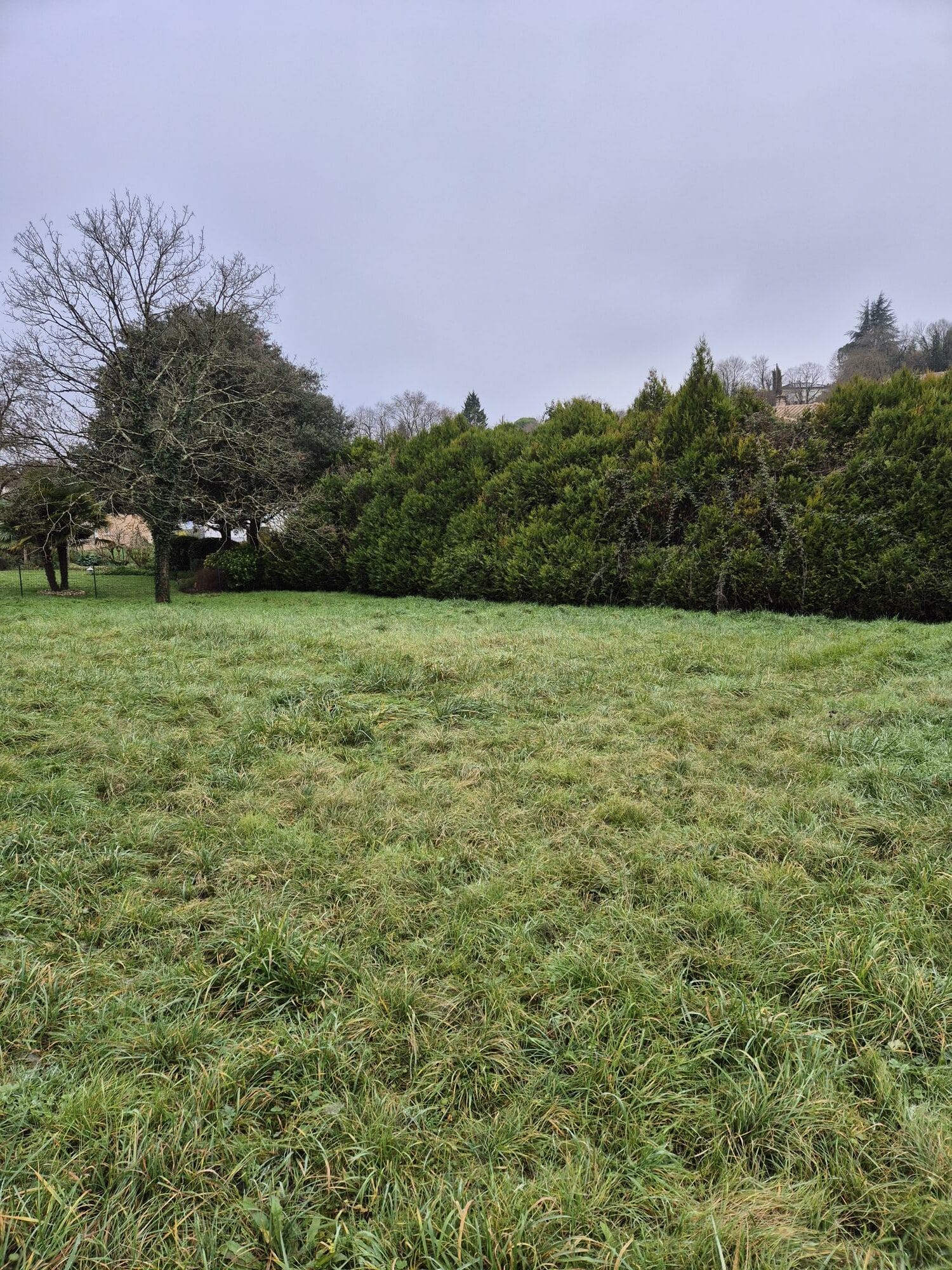 Terrain de 800m² à vendre à Ruelle-sur-Touvre (16)