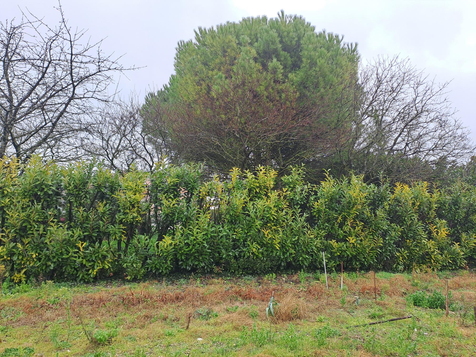 Maison + Terrain de 300 m2  à Saint-Sulpice-de-Royan