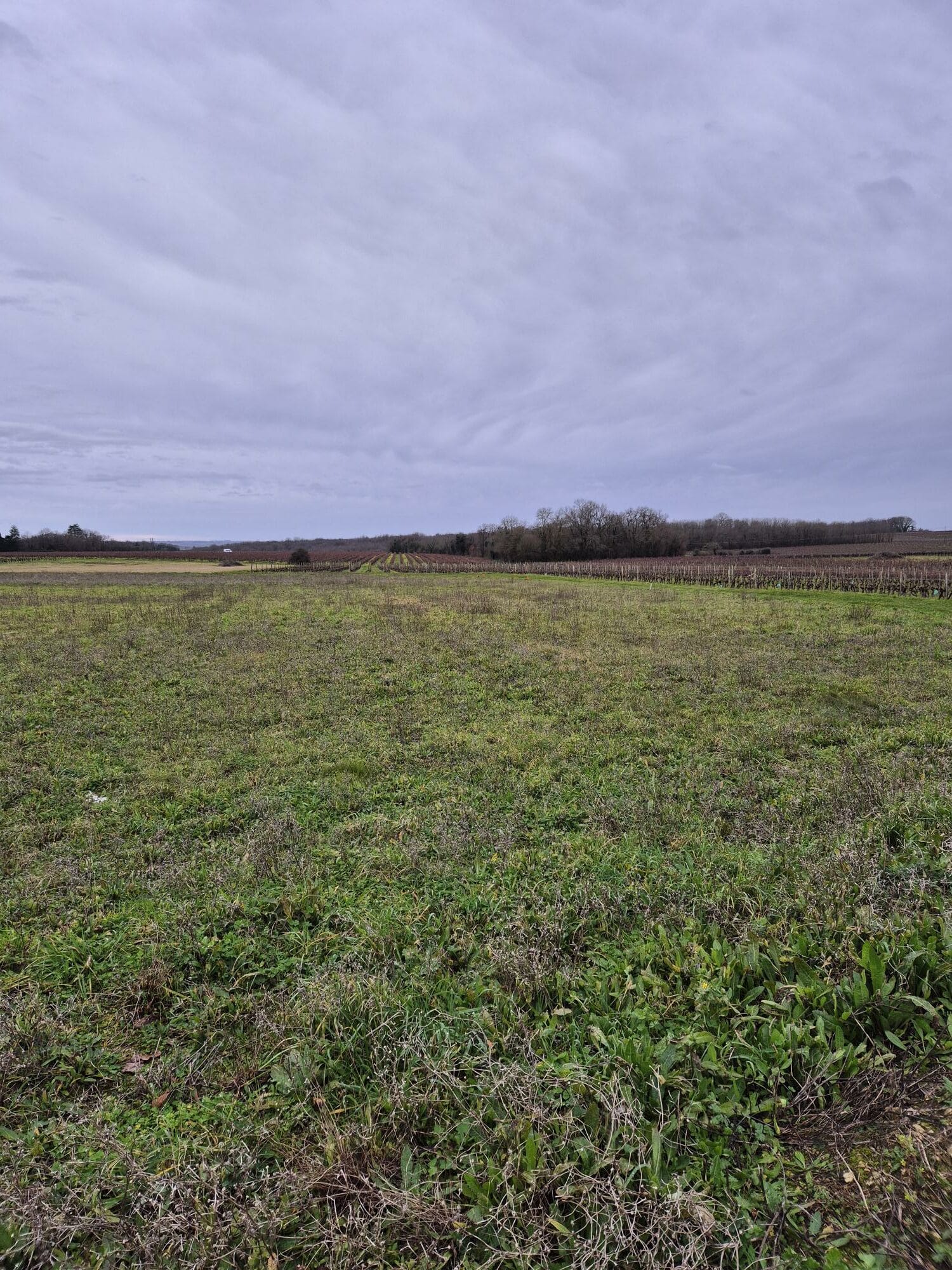 Terrain de 1 110m² à vendre à Louzac-Saint-André (16)