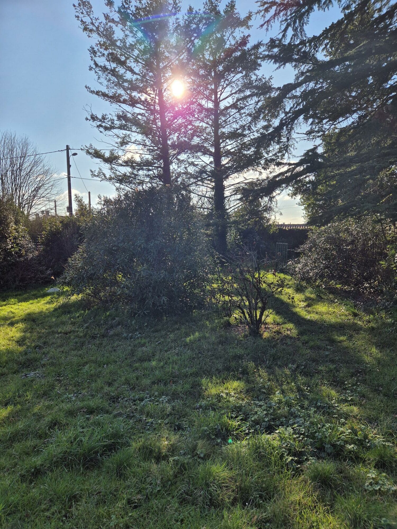 Terrain de 572m² à vendre à Cognac (16)