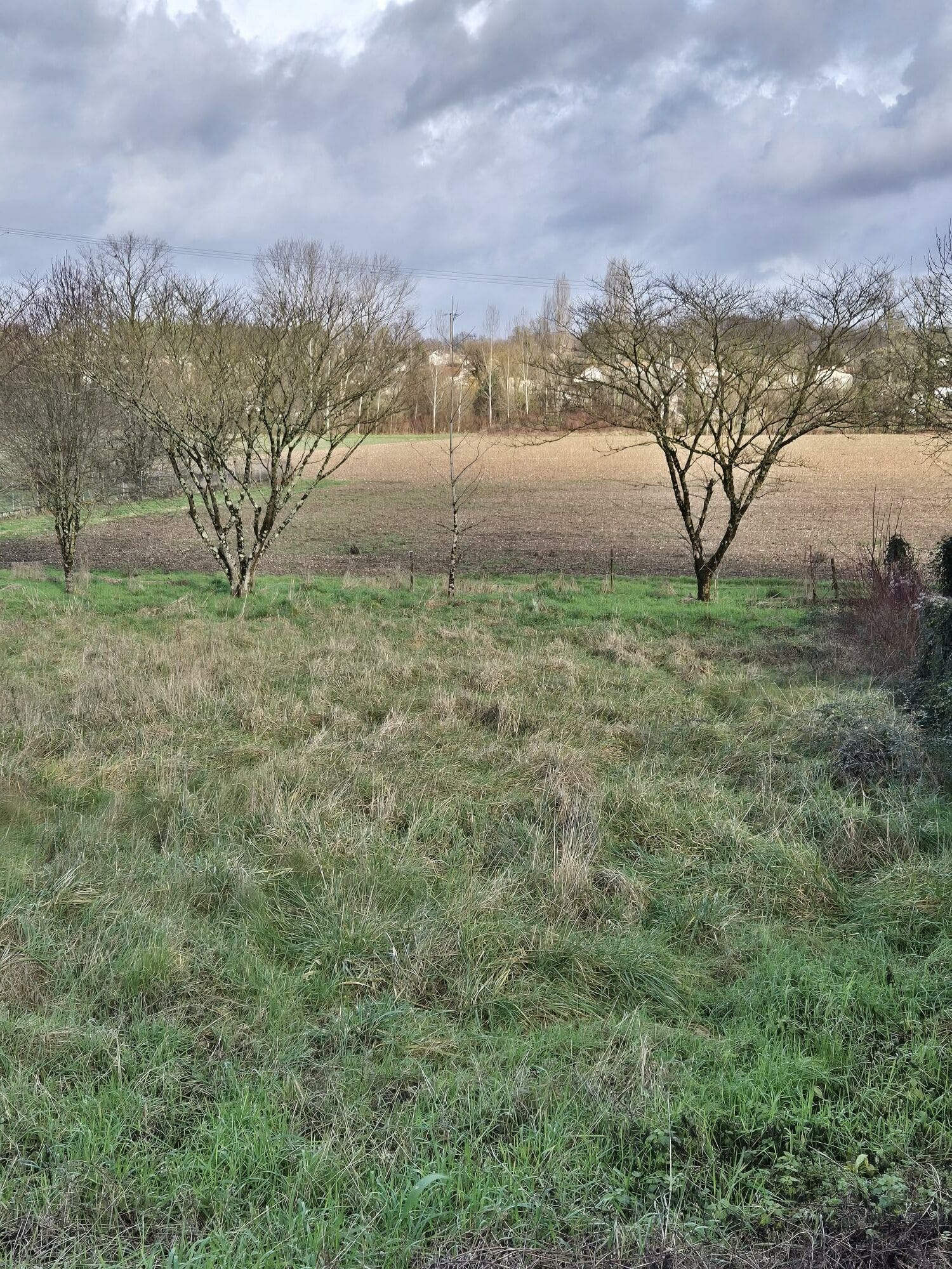 Terrain de 830m² à vendre à Linars (16)
