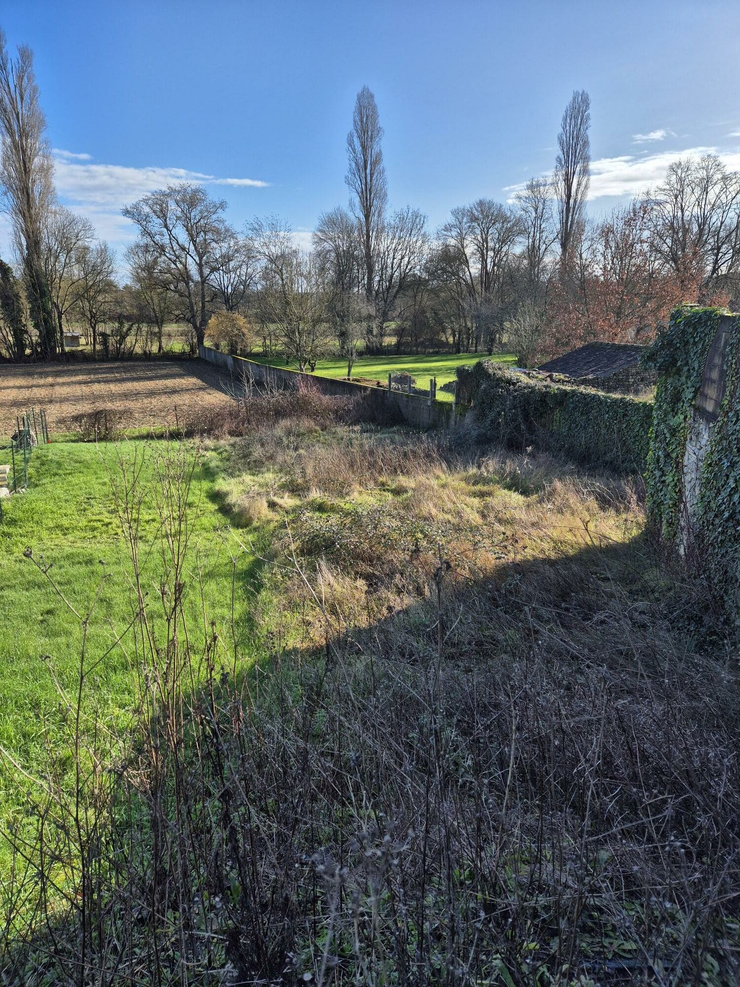 Terrain de 490m² à vendre à Linars (16)