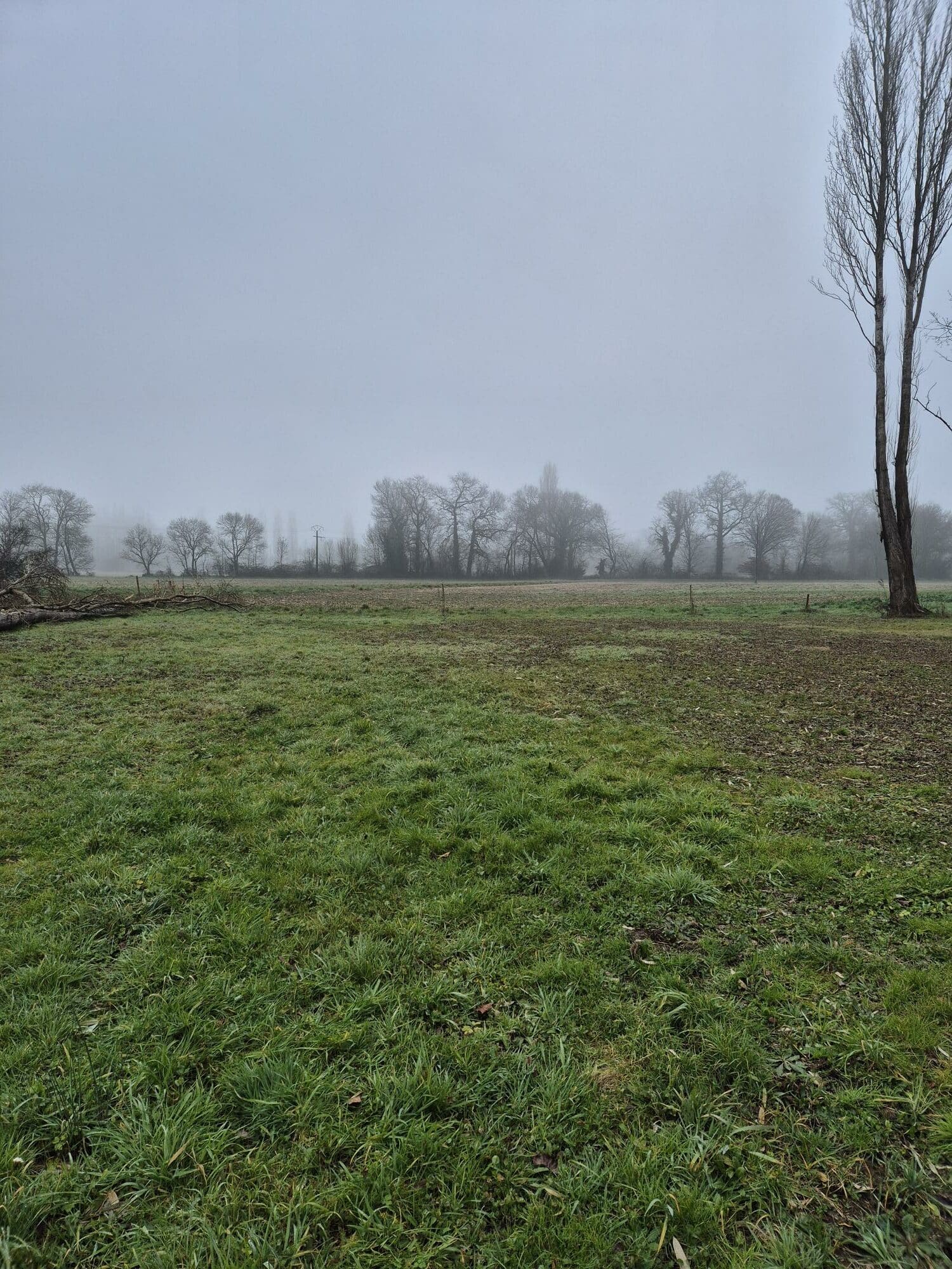 Terrain de 5 571m² à vendre à Lesmont (10)