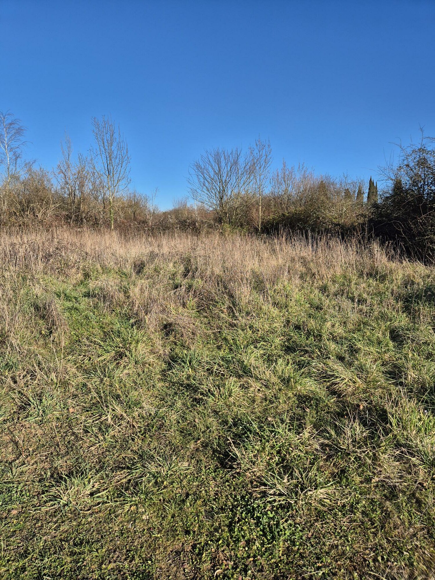 Terrain de 530m² à vendre à Gond-Pontouvre (16)