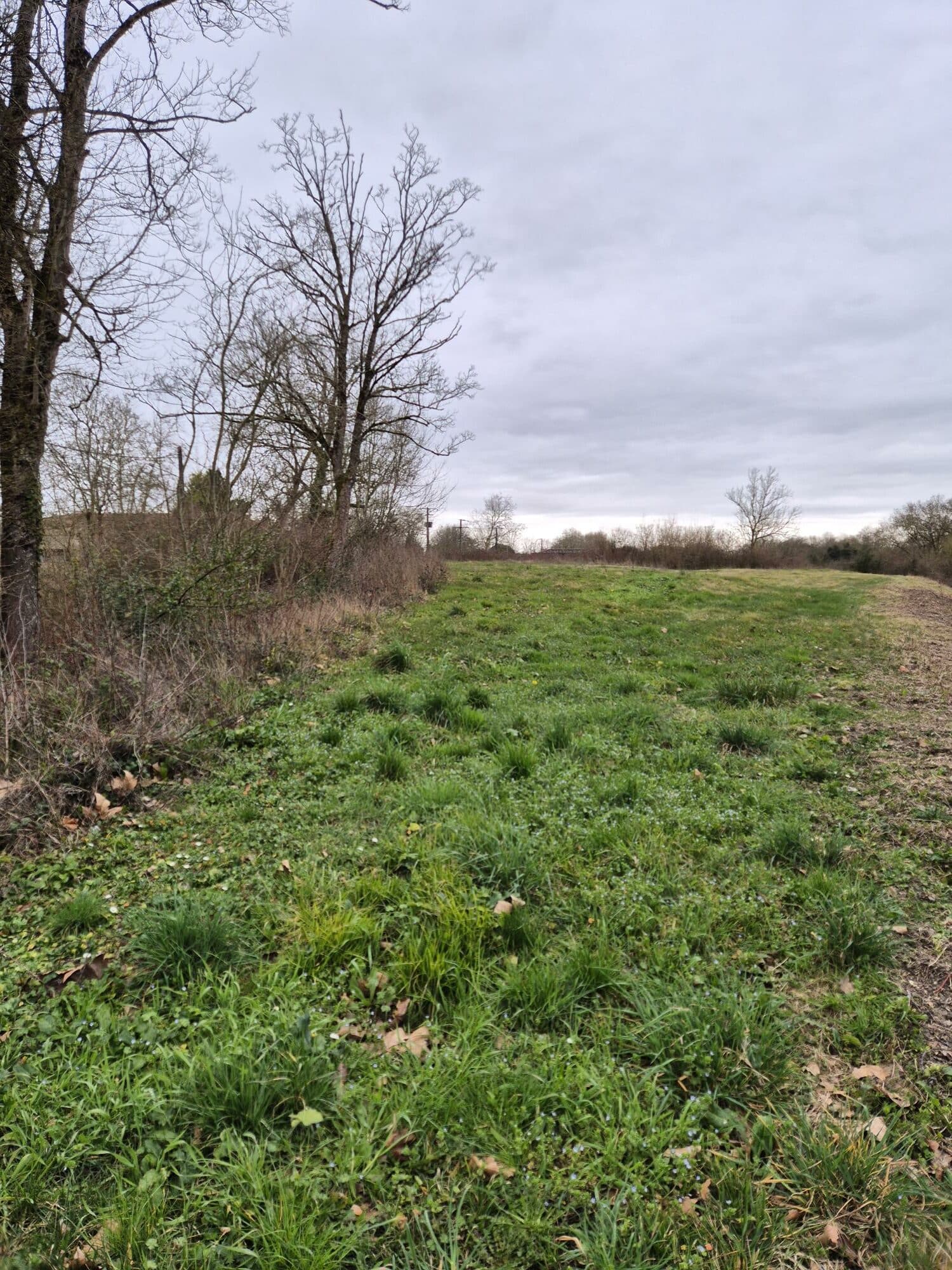 Terrain de 2 986m² à vendre à Saint-Cybardeaux (16)