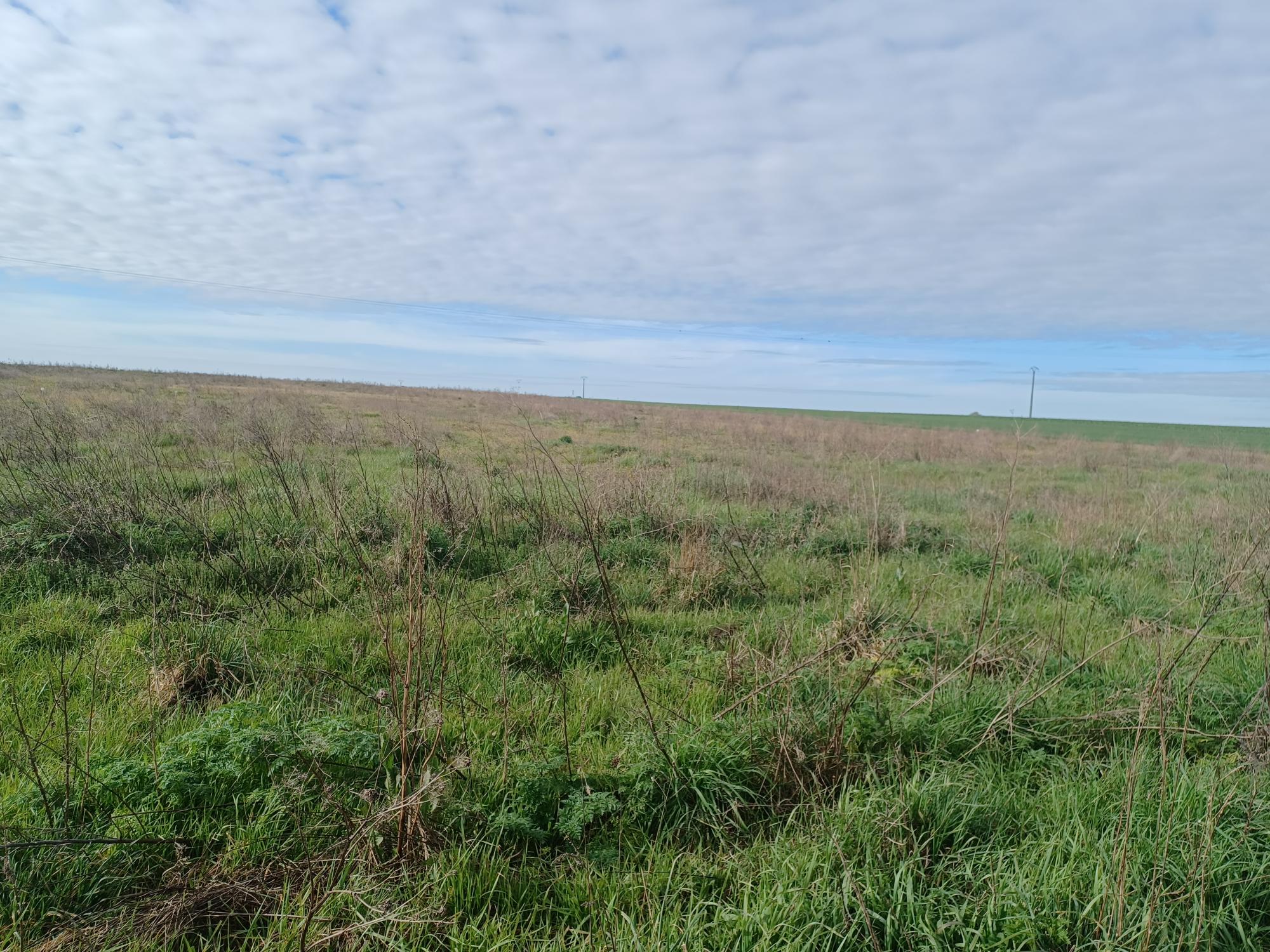 Maison + Terrain de 261 m2  à Angliers