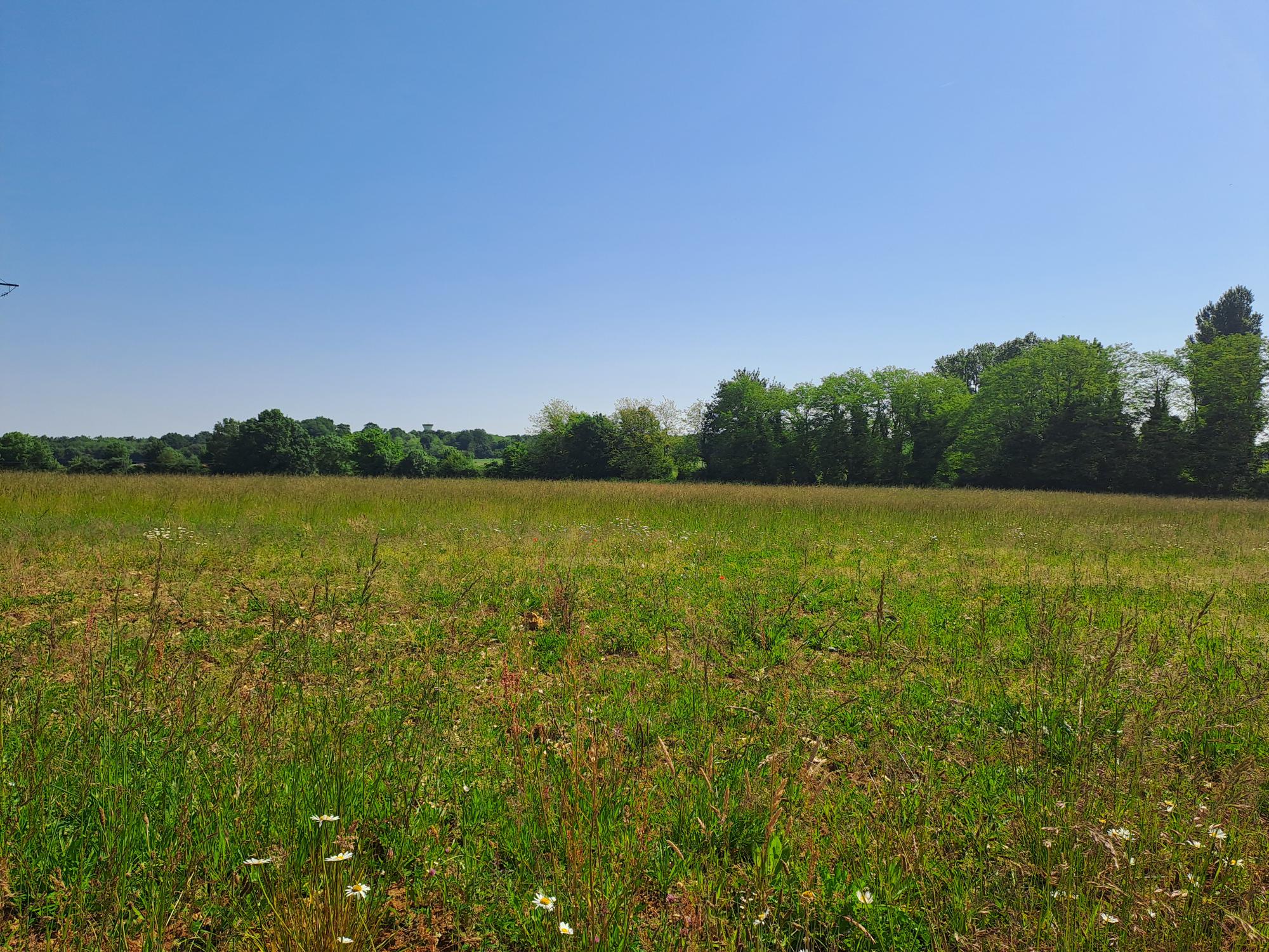 Maison + Terrain de 2 561 m2  à Saint-Germain-du-Seudre