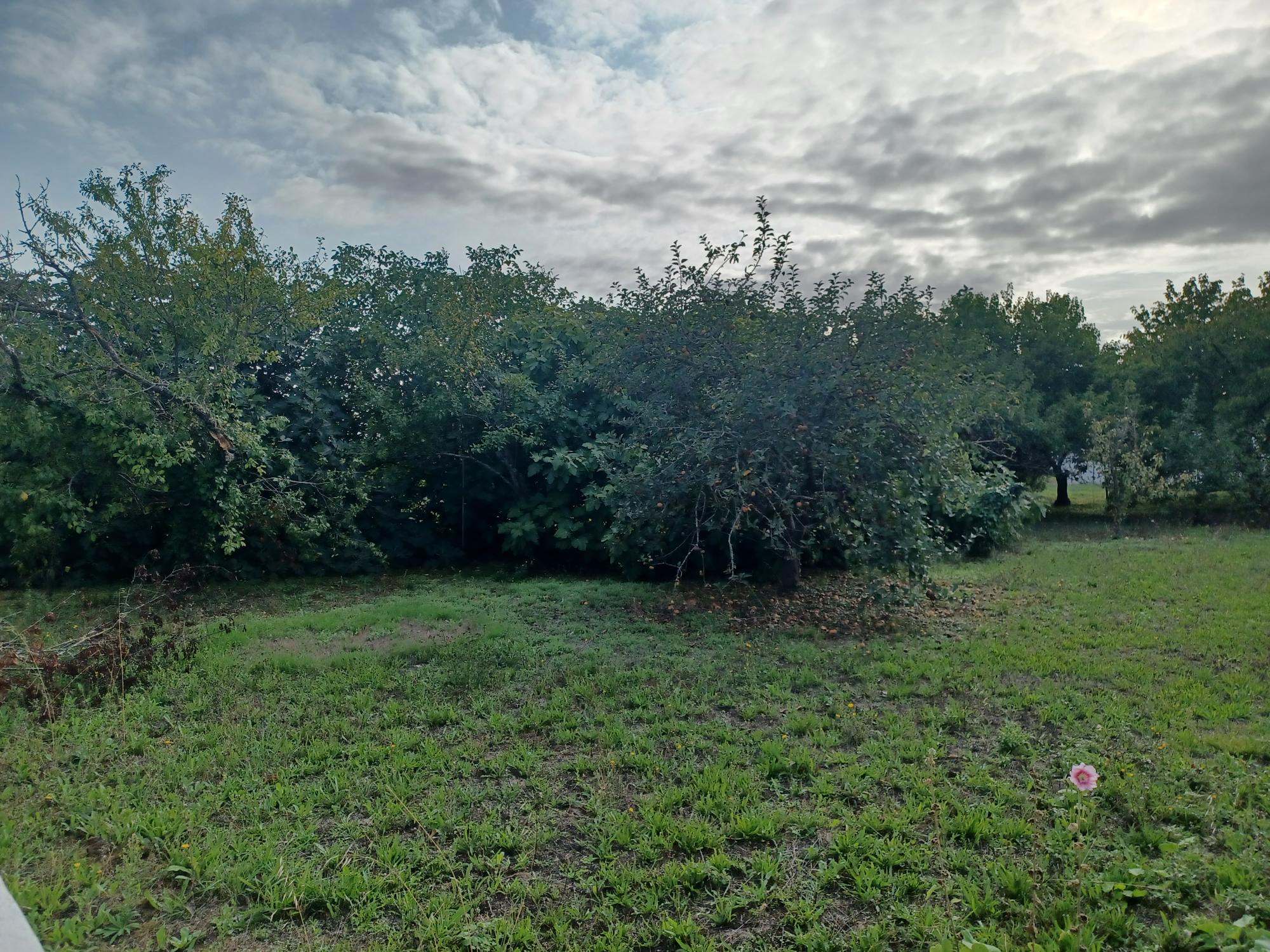 Maison + Terrain de 514 m2  à La Jarrie