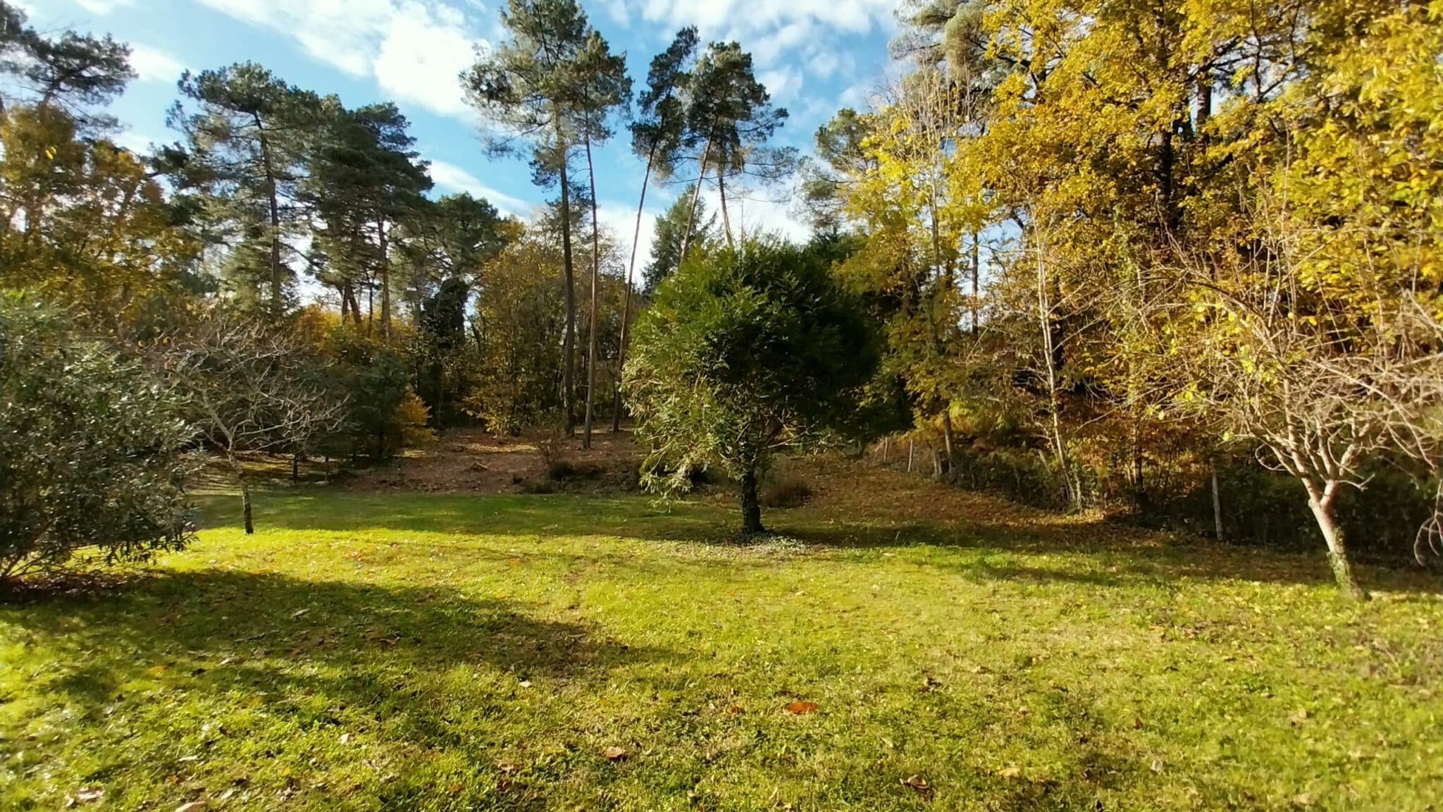 Maison + Terrain de 1 500 m2  à Chancelade
