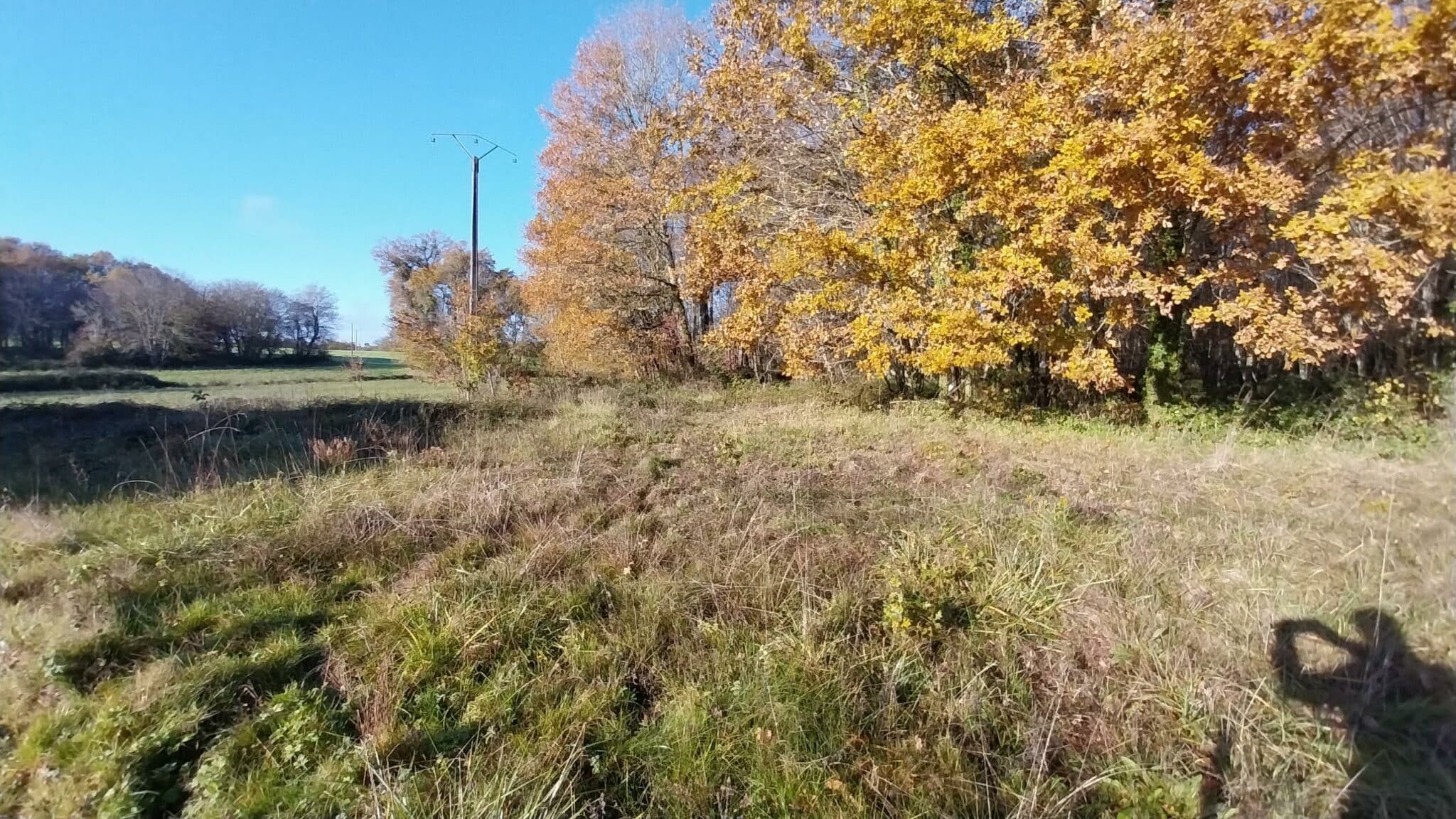 Maison + Terrain de 1 000 m2  à Saint-Astier