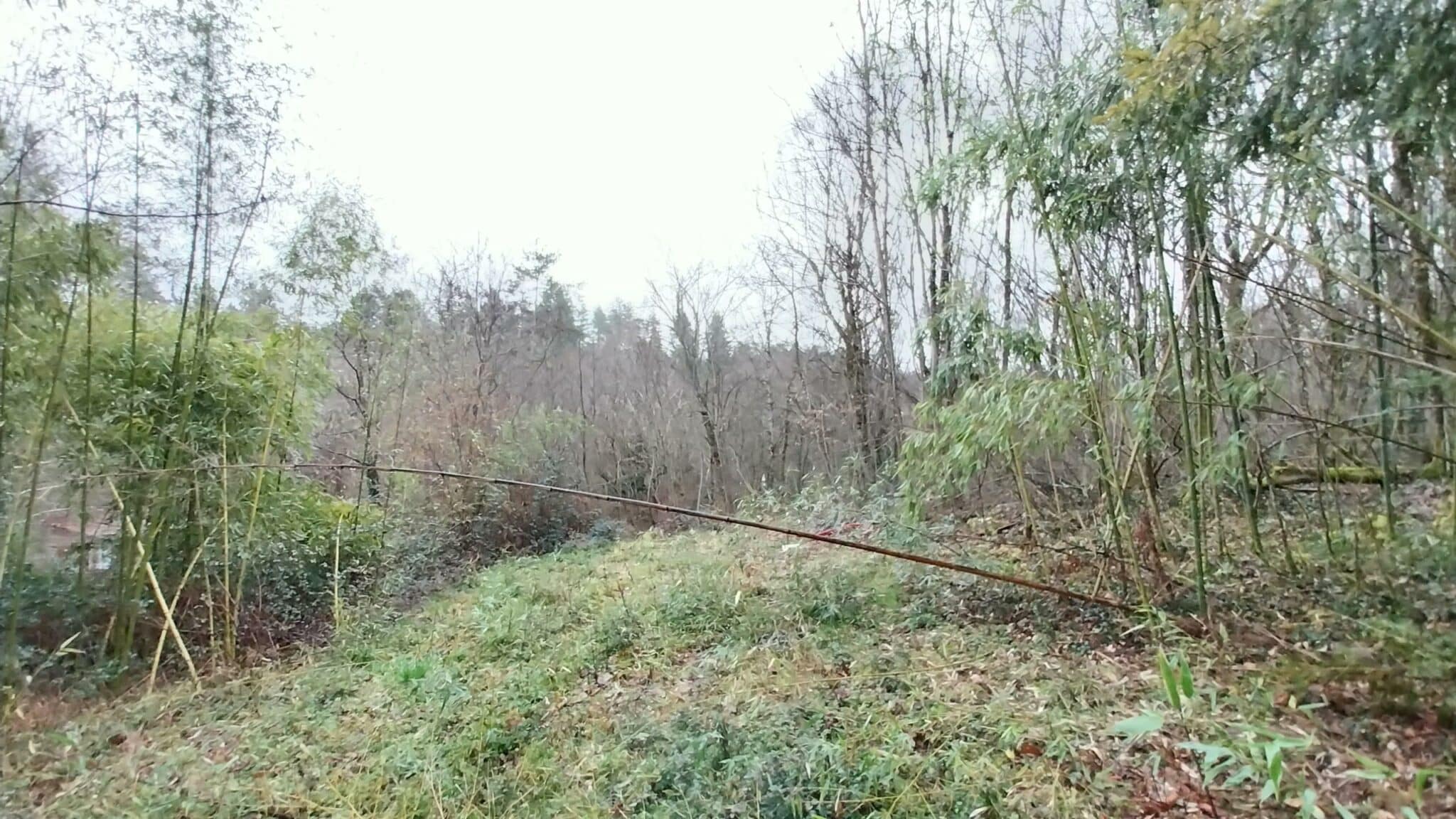 Maison + Terrain de 1 400 m2  à Boulazac