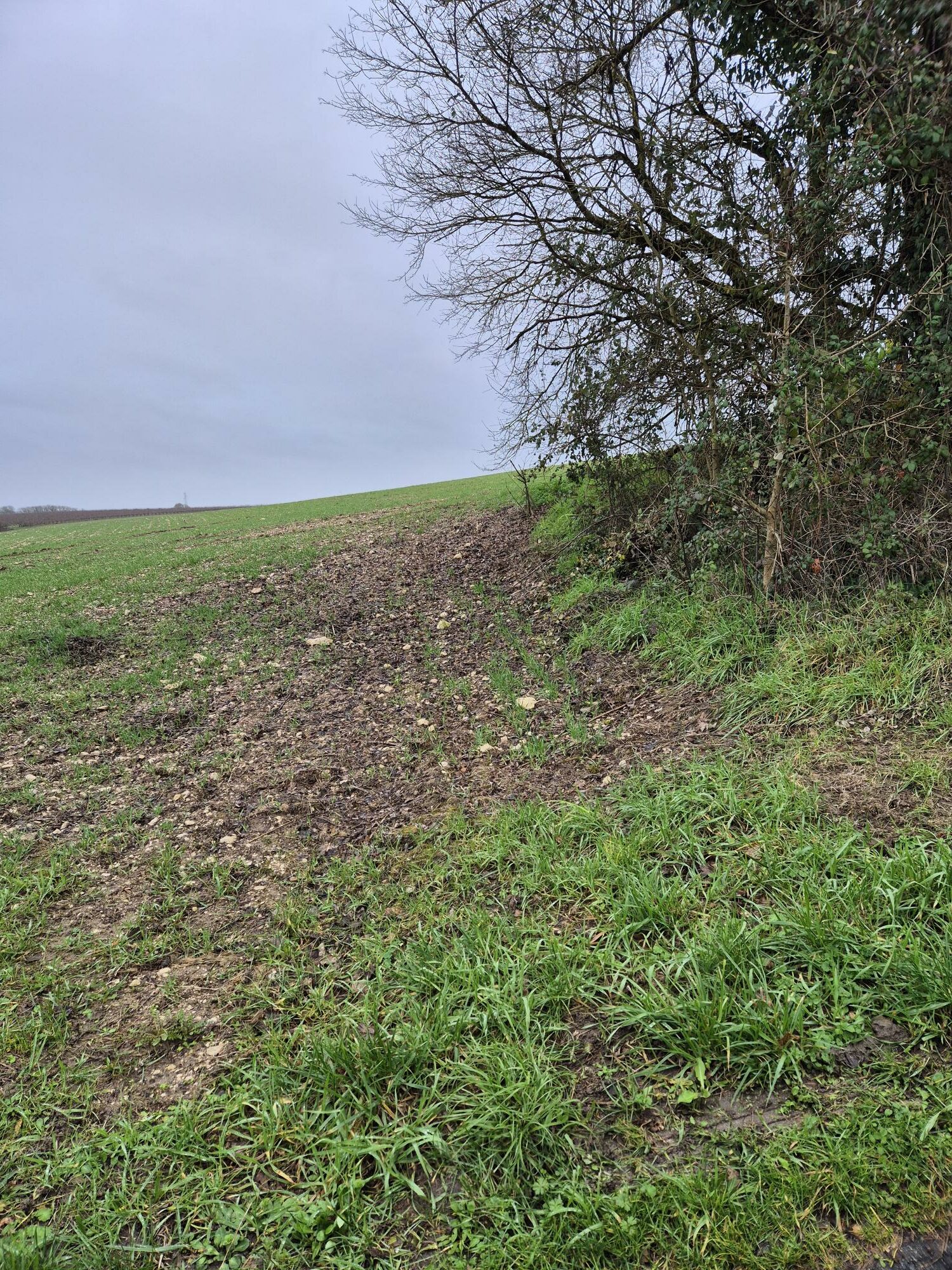 Terrain de 1 150m² à vendre à Genac (16)