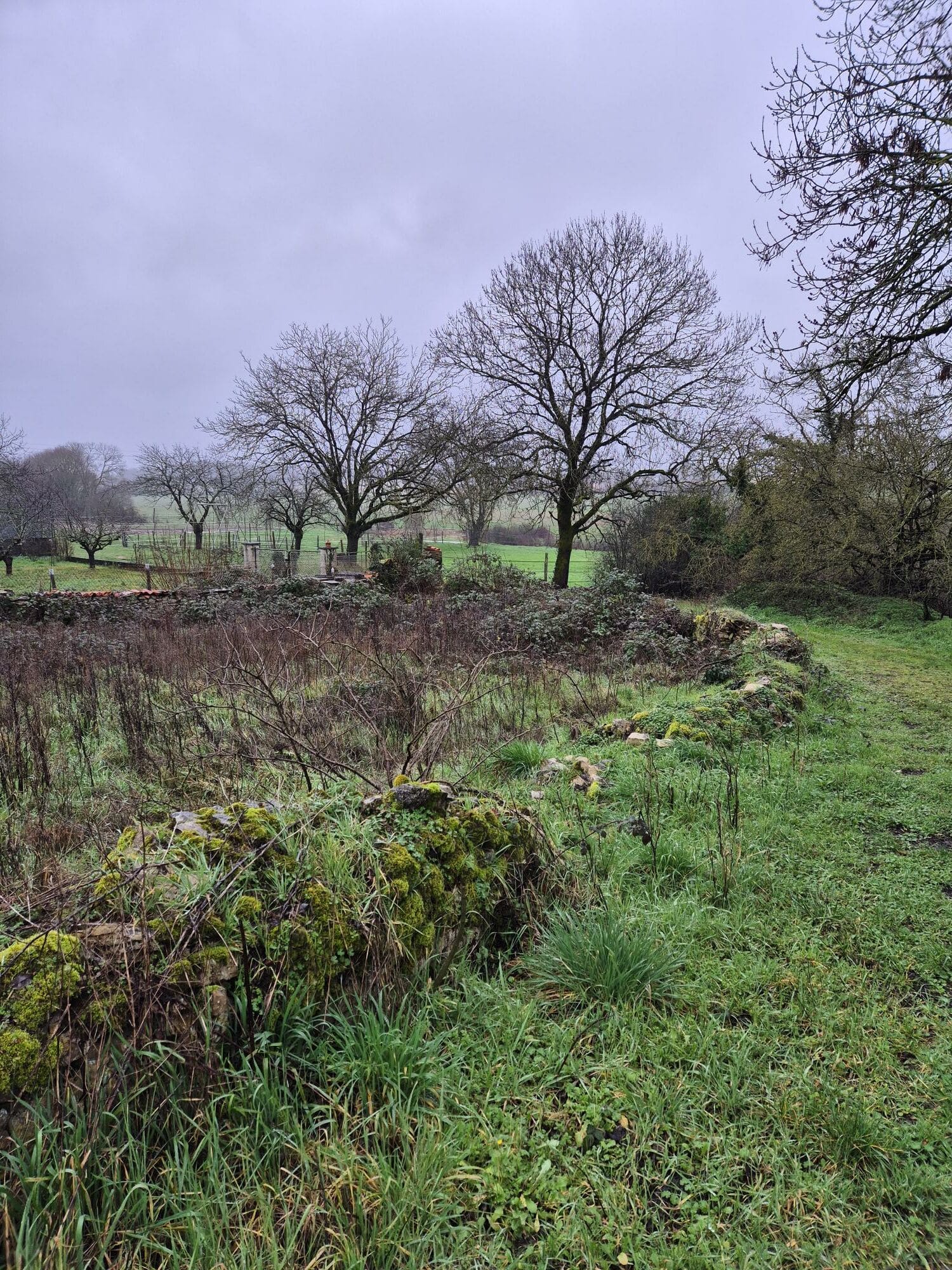 Terrain de 368m² à vendre à Maine-de-Boixe (16)