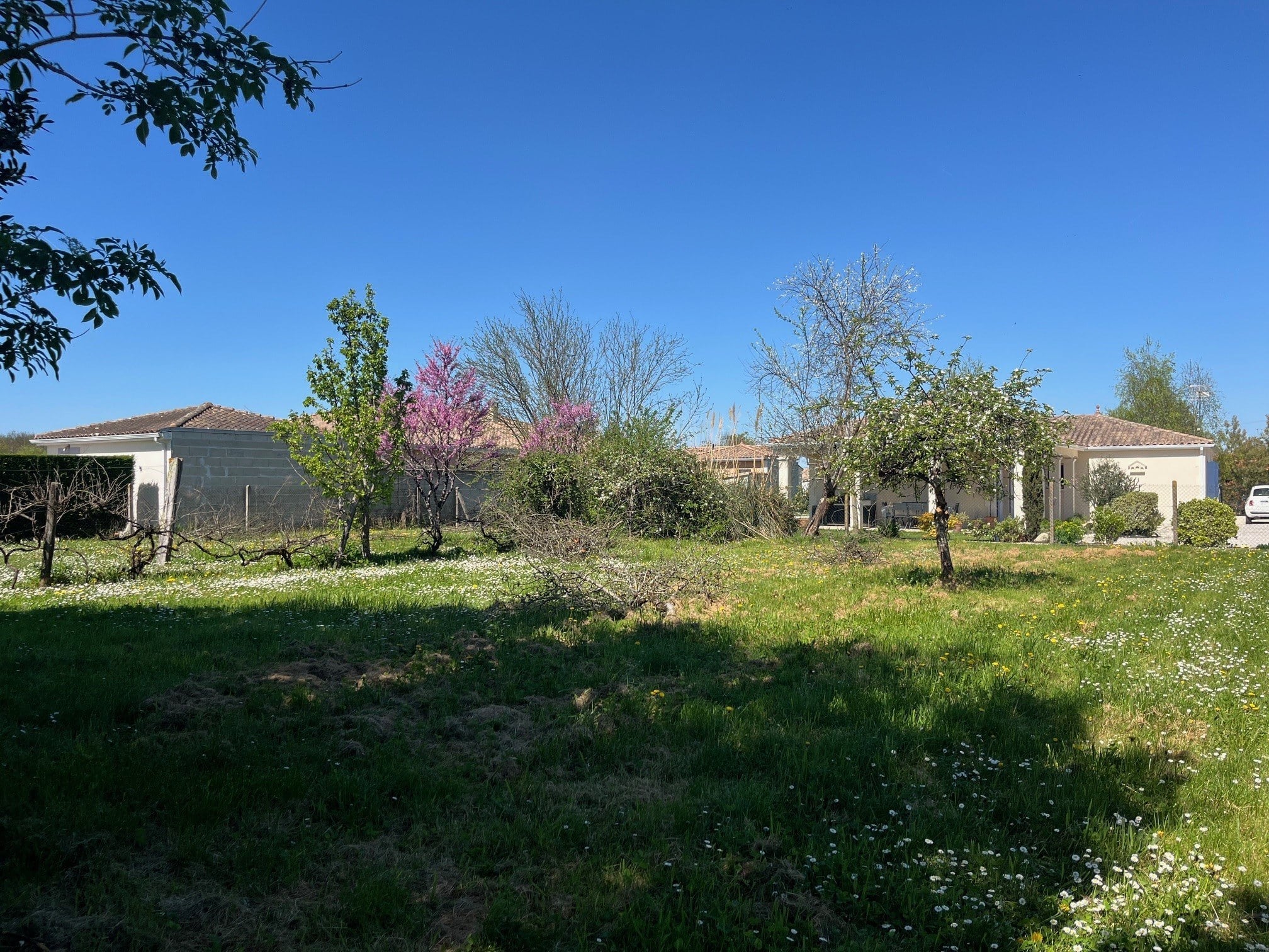 Terrain de 937m² à vendre à Boutiers-Saint-Trojan (16)