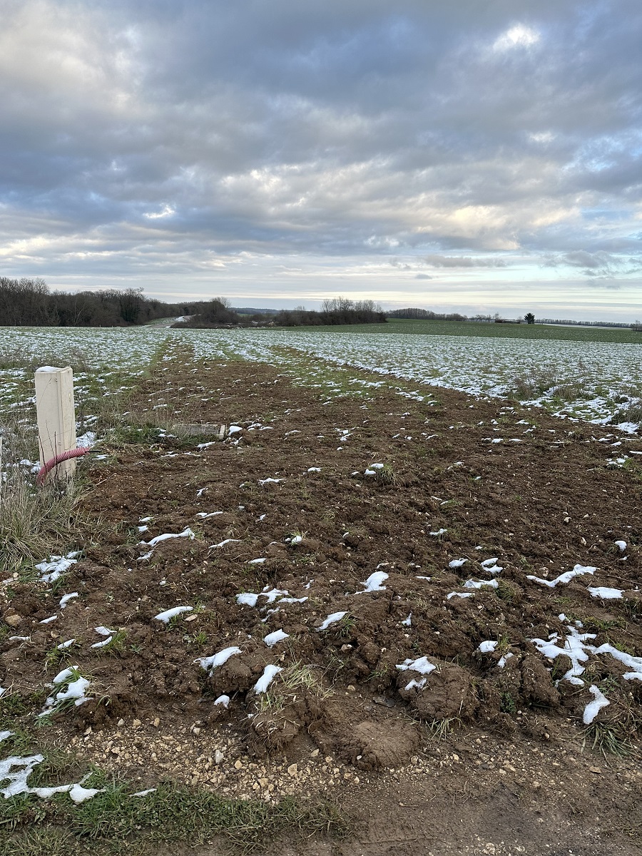 Terrain de 1 300m² à vendre à Montot (70)